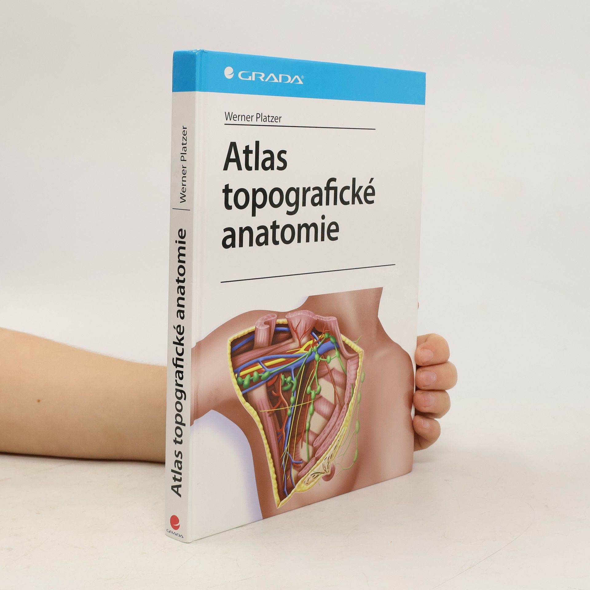Werner Platzer Atlas topografické anatomie