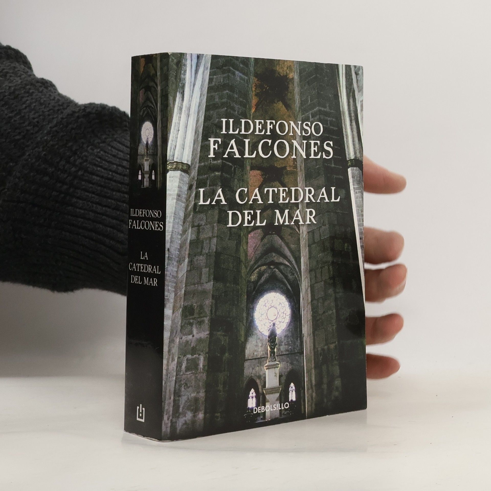 Ildefonso Falcones La catedral del mar