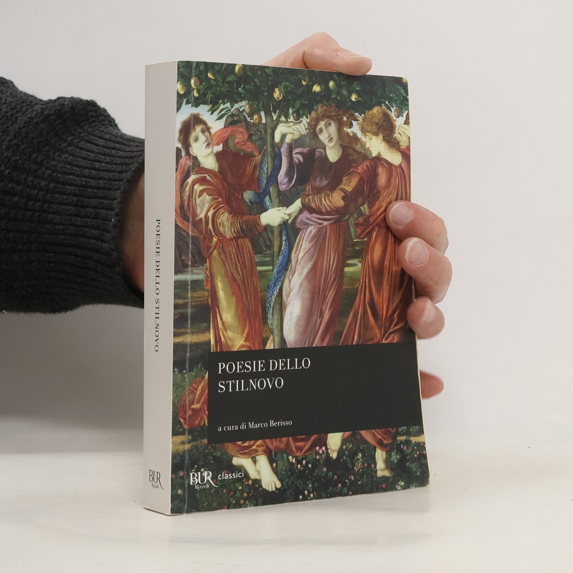 Marco Berisso Poesie dello Stilnovo