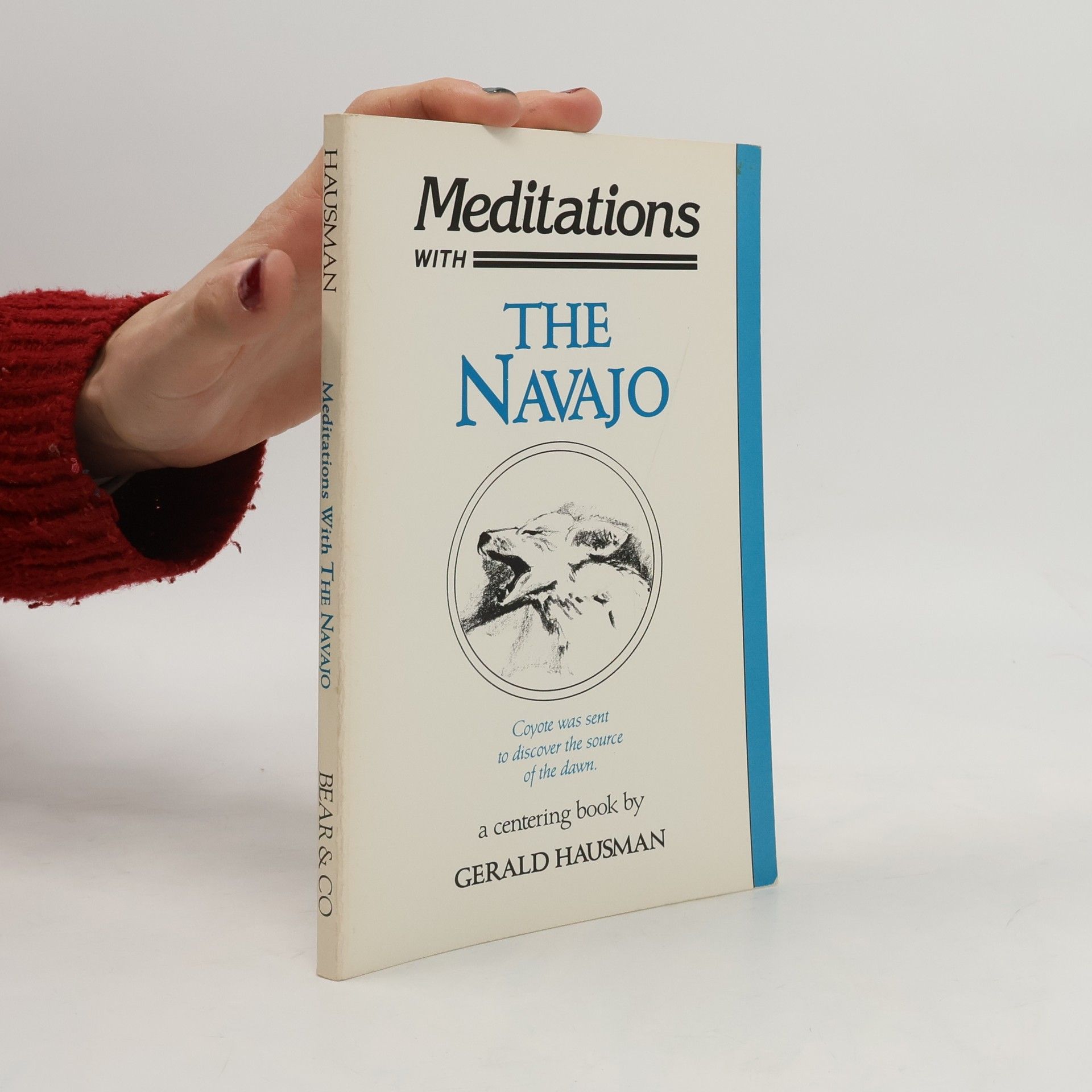 Gerald Hausman Meditations With the Navajo