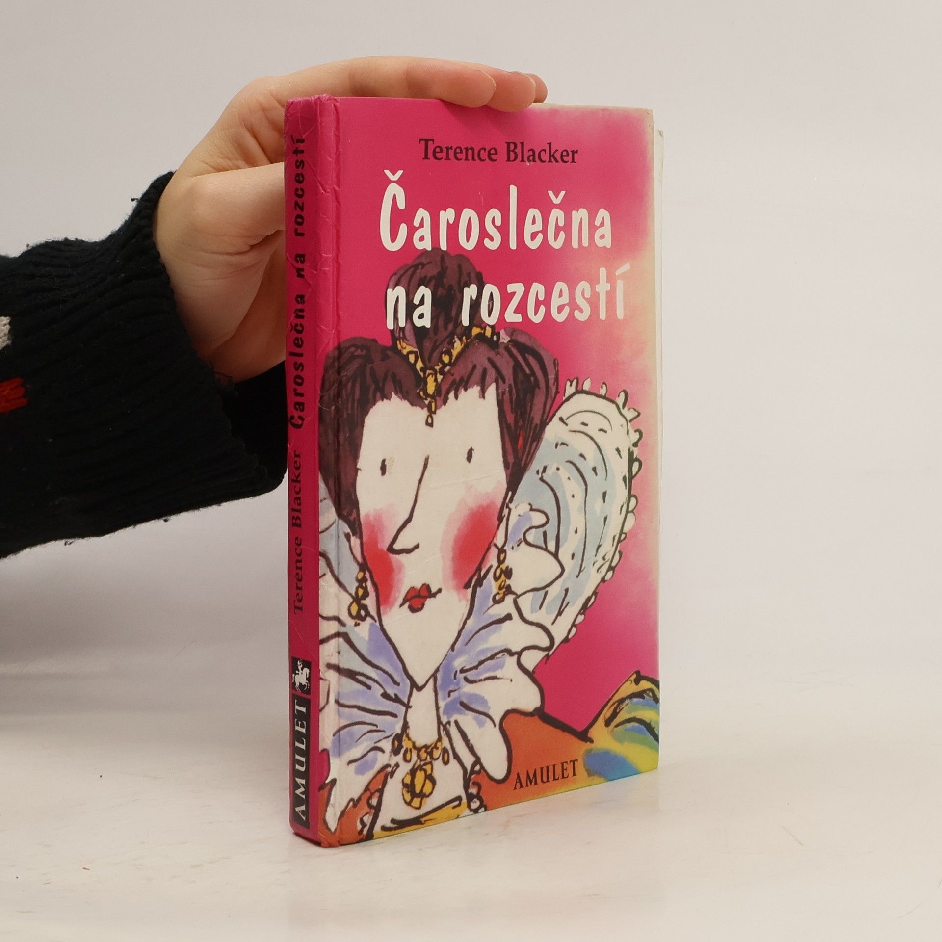 Terence Blacker Čaroslečna na rozcestí