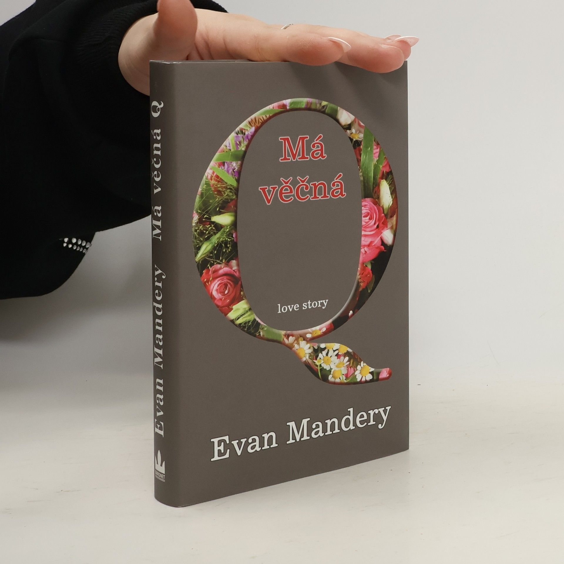 Evan J. Mandery Má věčná Q : [love story]