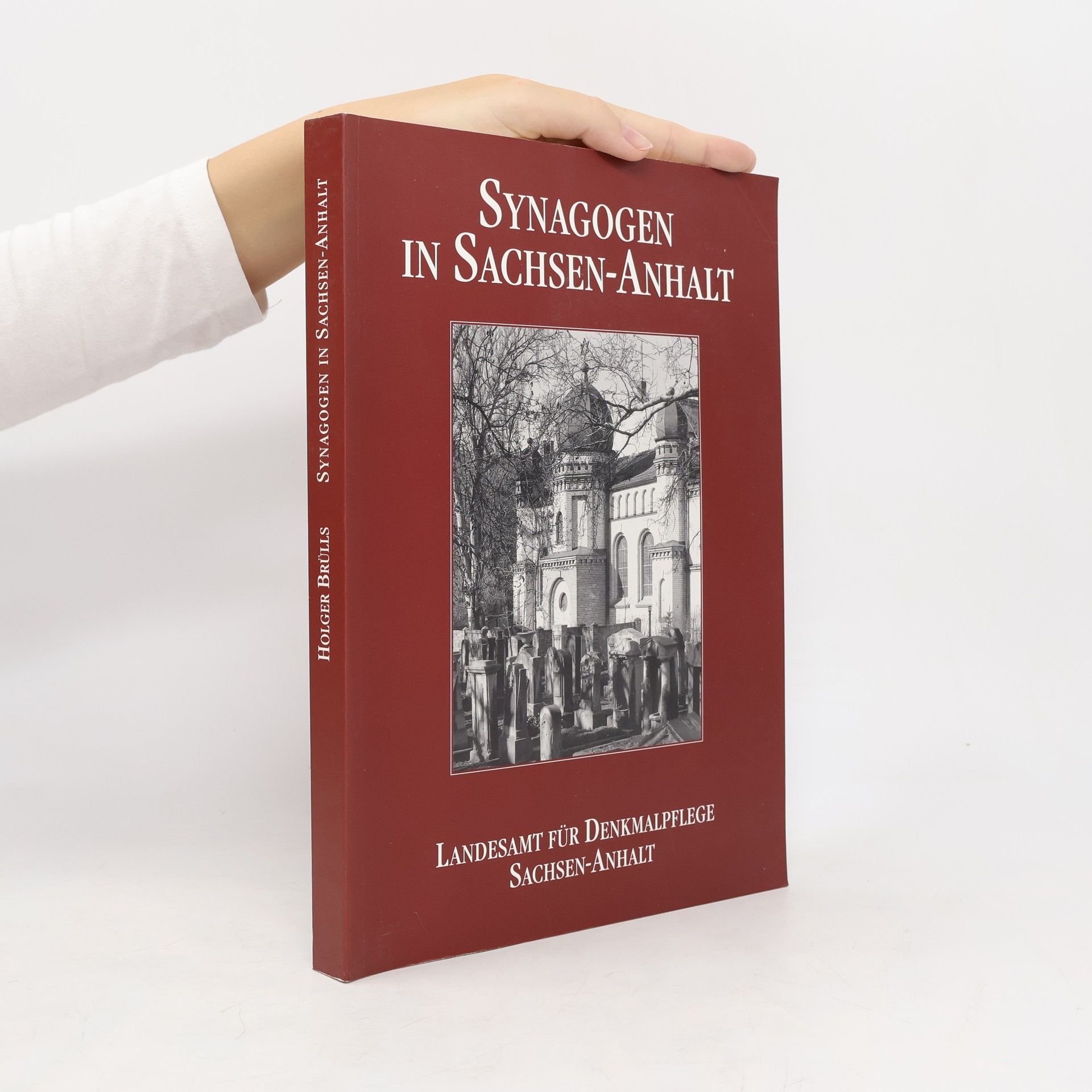 Holger Brülls Synagogen in Sachsen-Anhalt