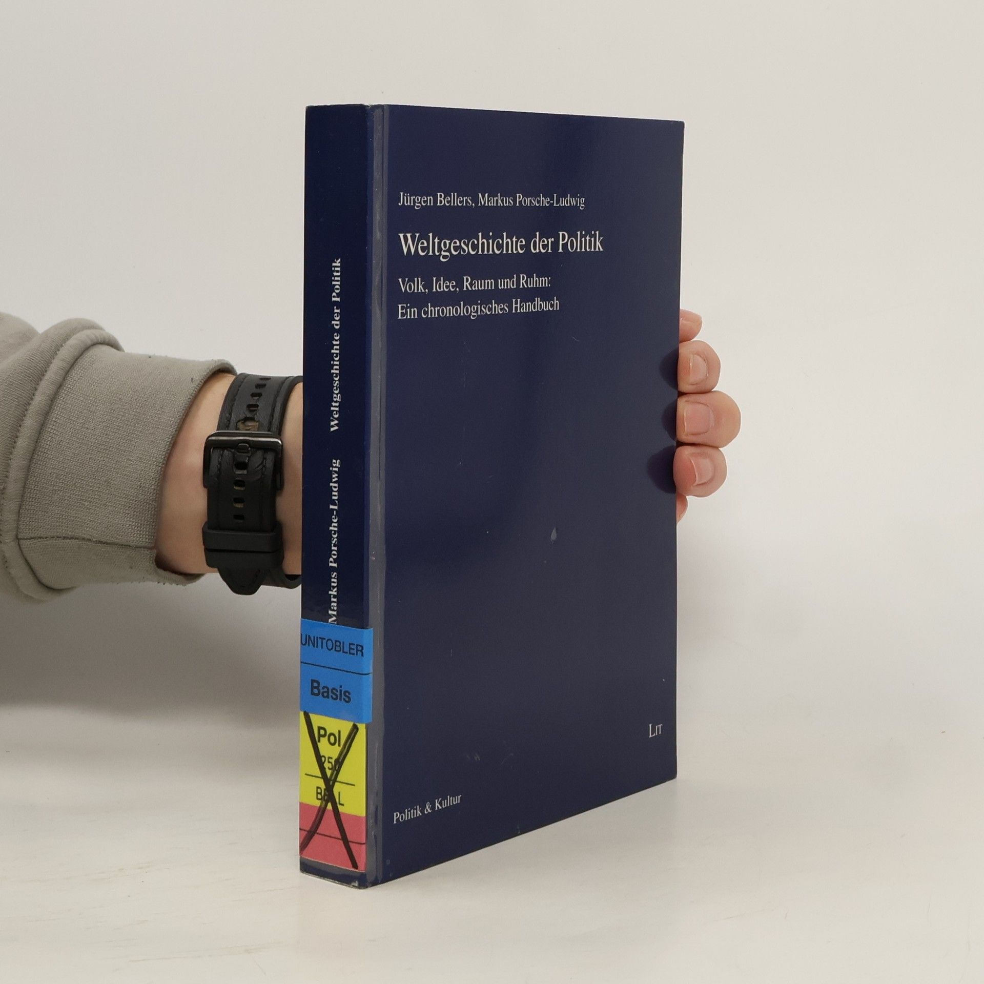 Politik und Kultur: Weltgeschichte der Politik