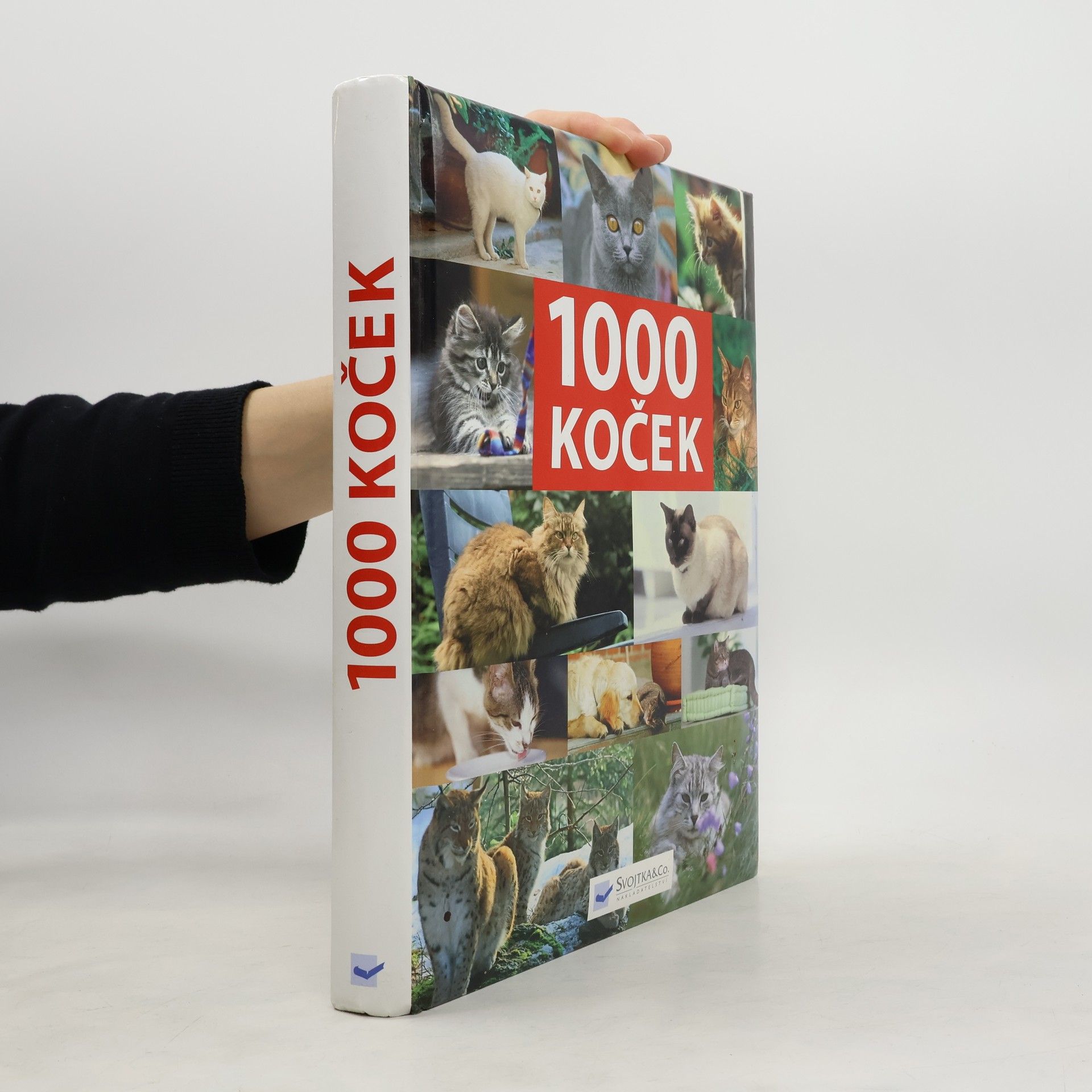 Collectif d'auteurs 1000 koček