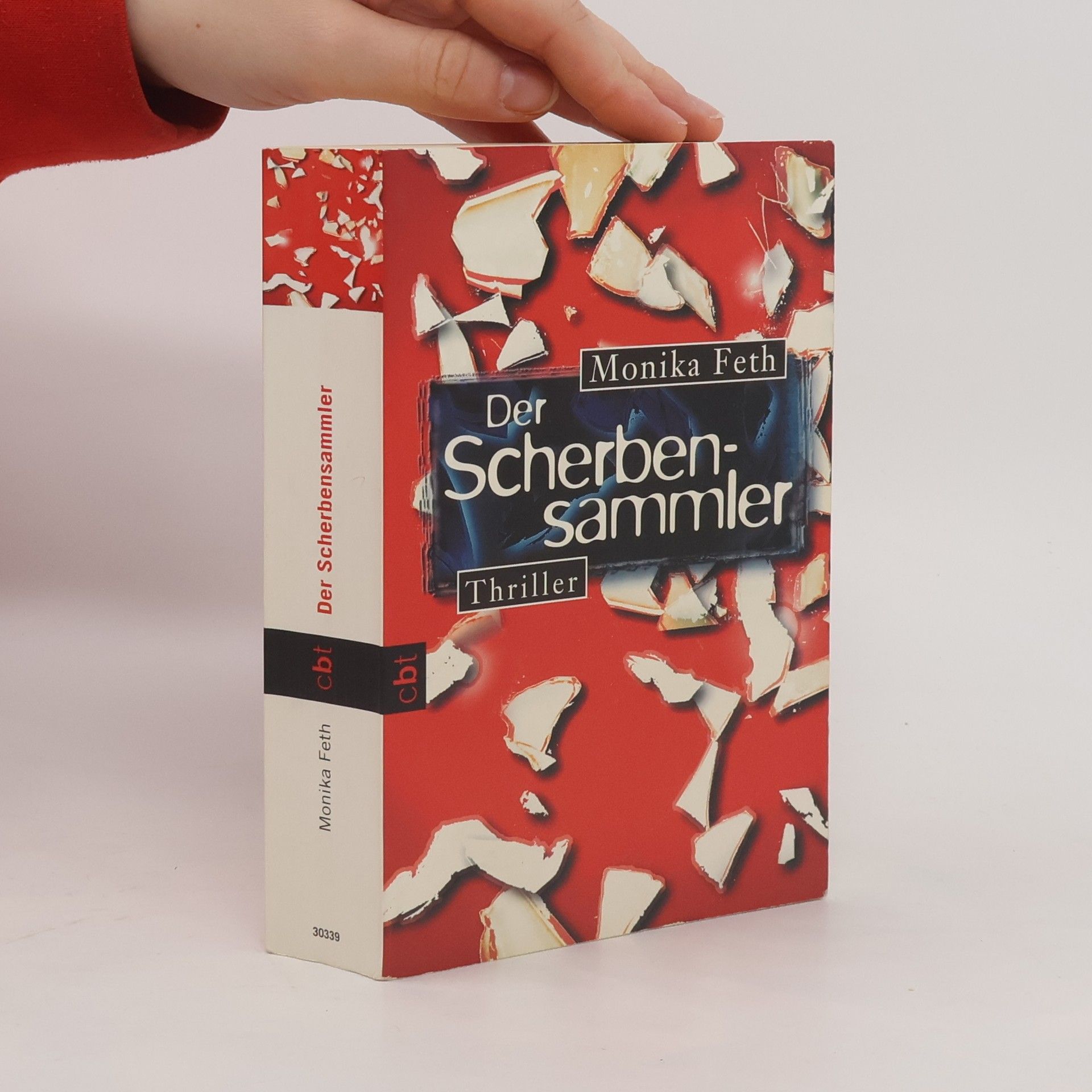 Monika Feth Der Scherbensammler