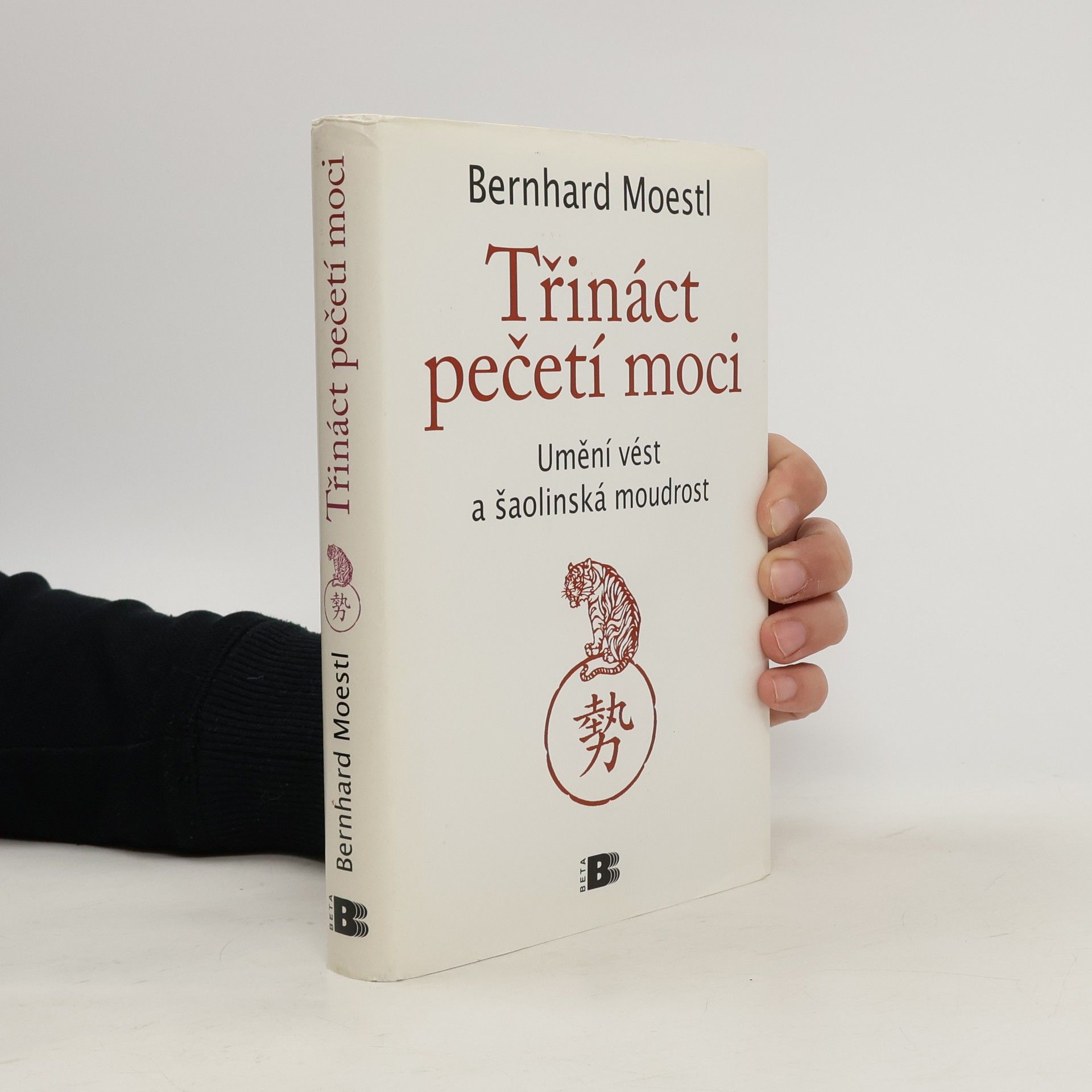 Bernhard Moestl Třináct pečetí moci : umění vést a šaolinská moudrost