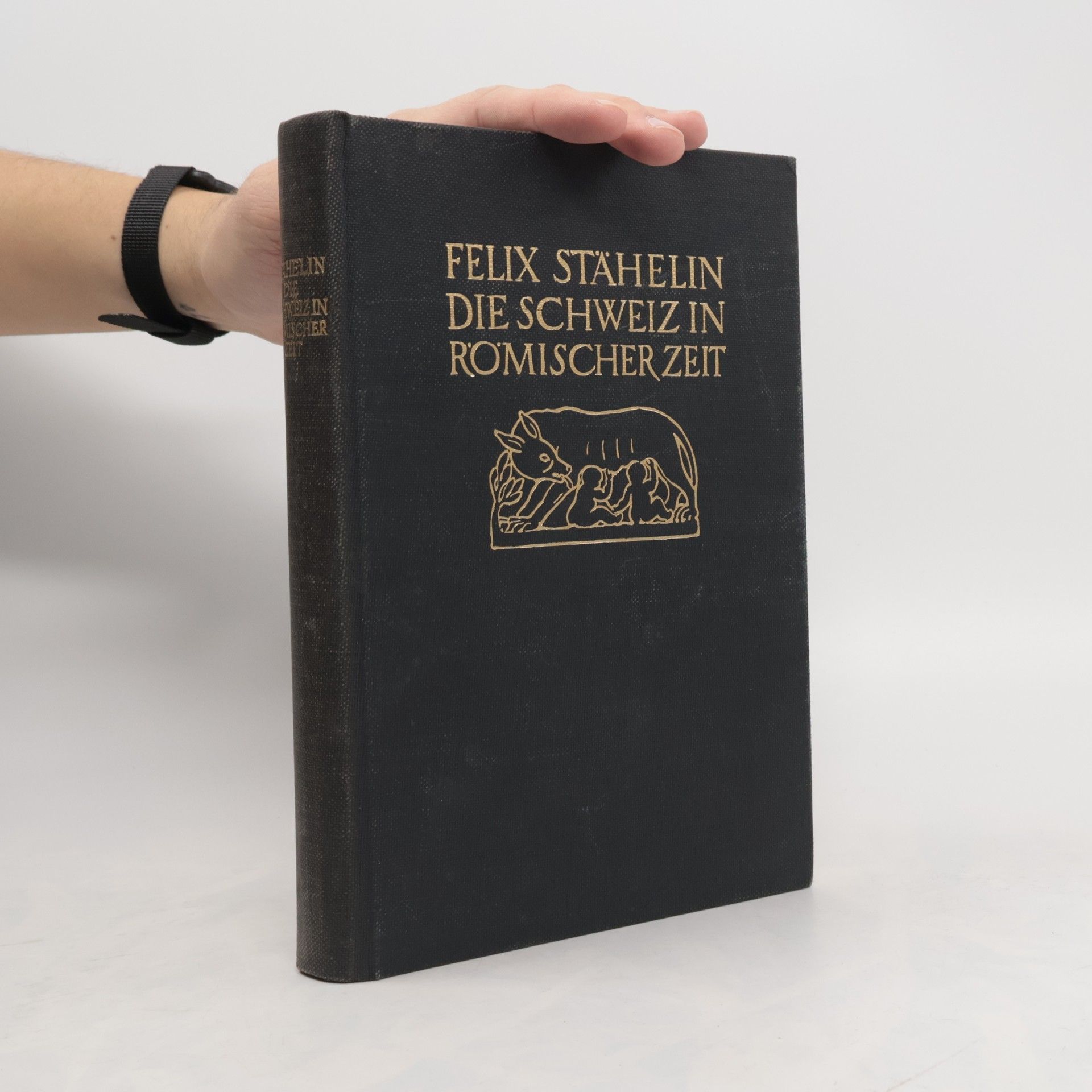 Felix Stähelin Die Schweiz in Römischer Zeit