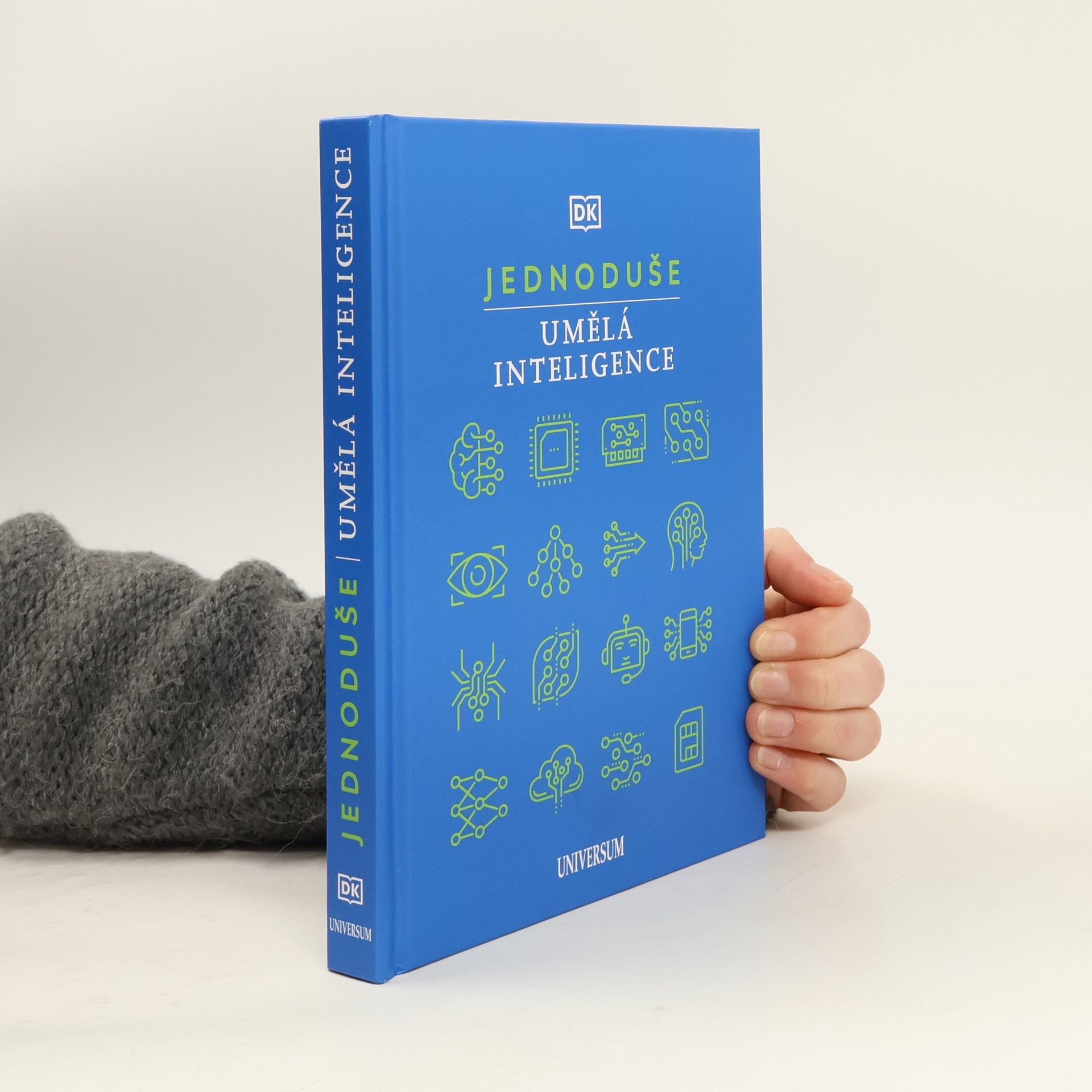 Lenka Strnadová Jednoduše. Umělá inteligence