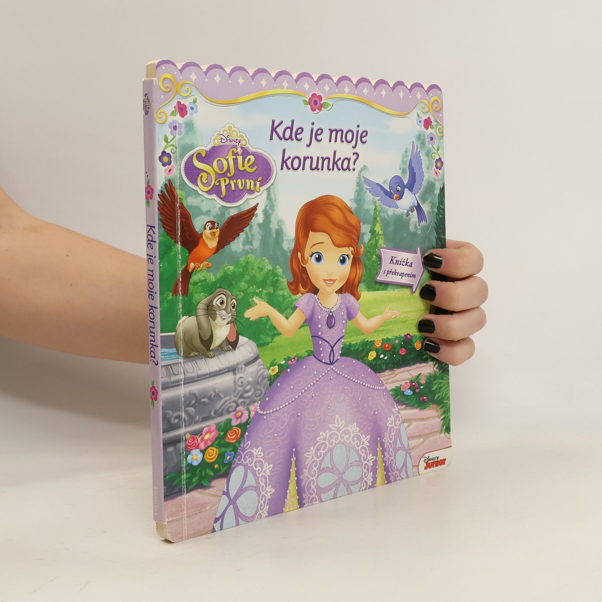 Lori C. Froeb Sofie První - Kde je moje korunka?