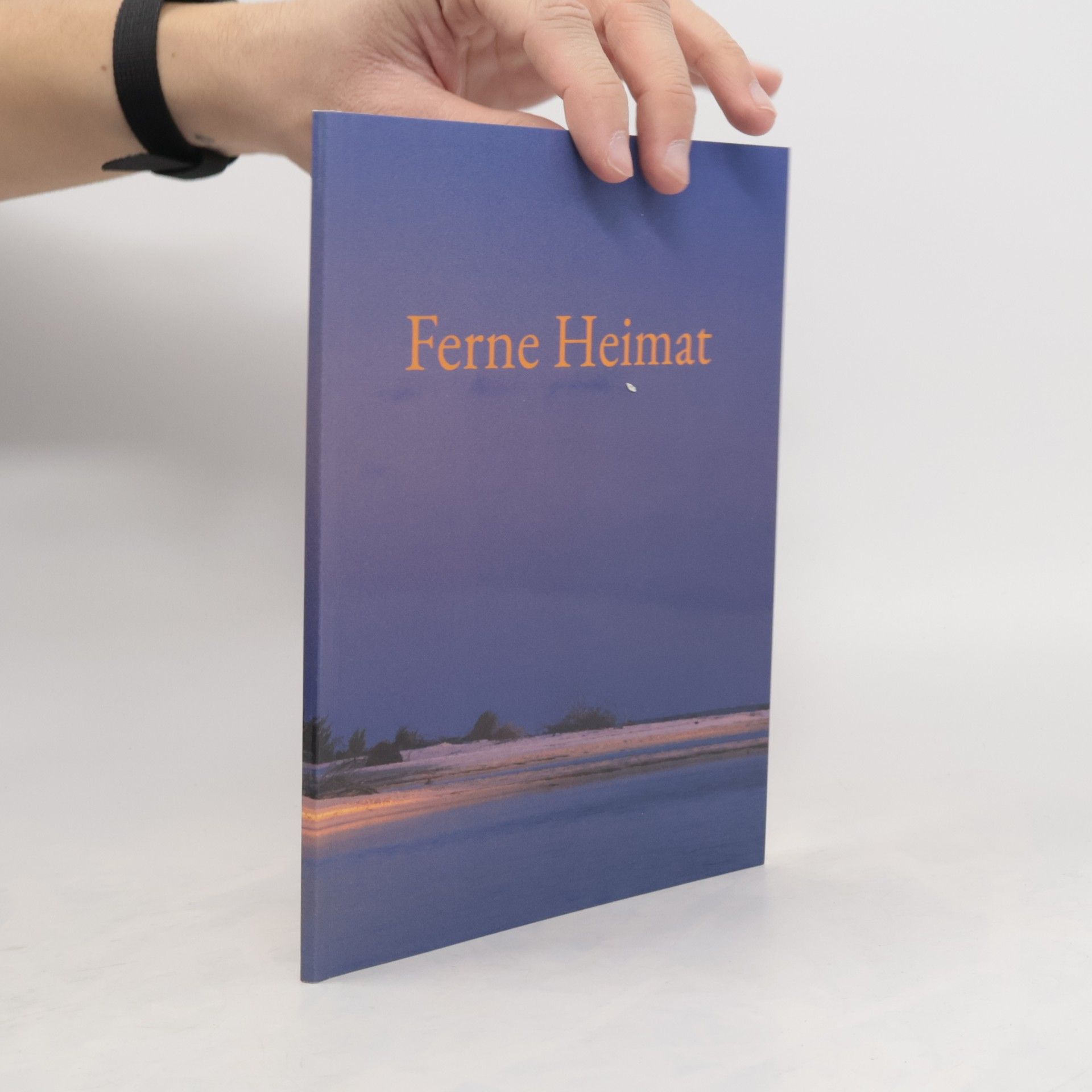 Hans Peter Scheier Ferne Heimat
