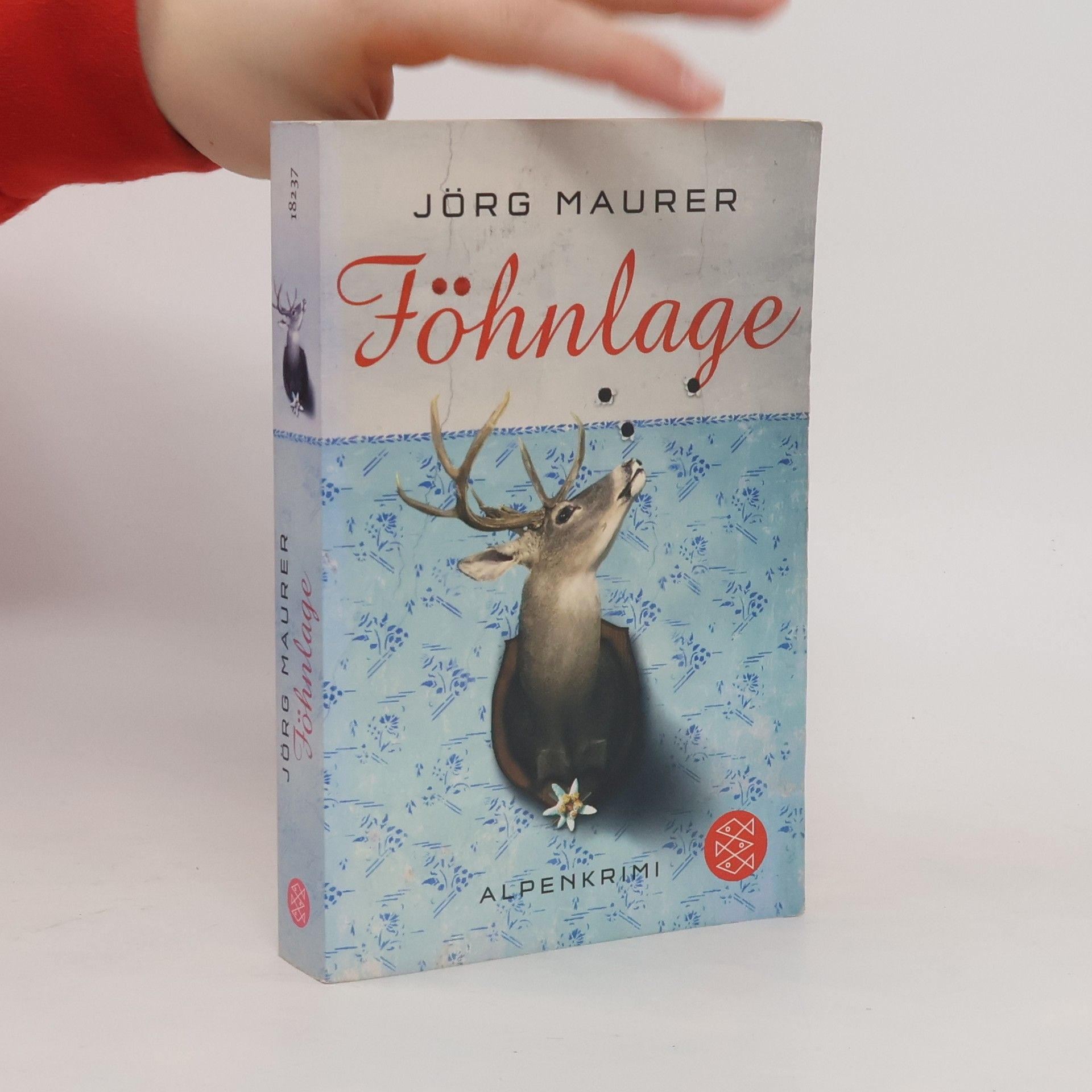 Föhnlage