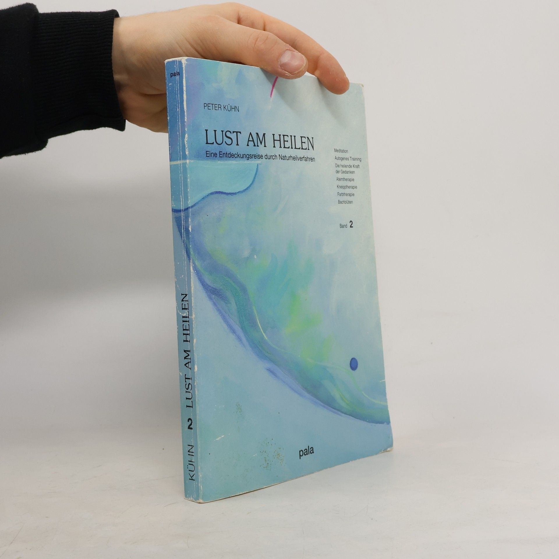 Peter Kühn Lust am Heilen