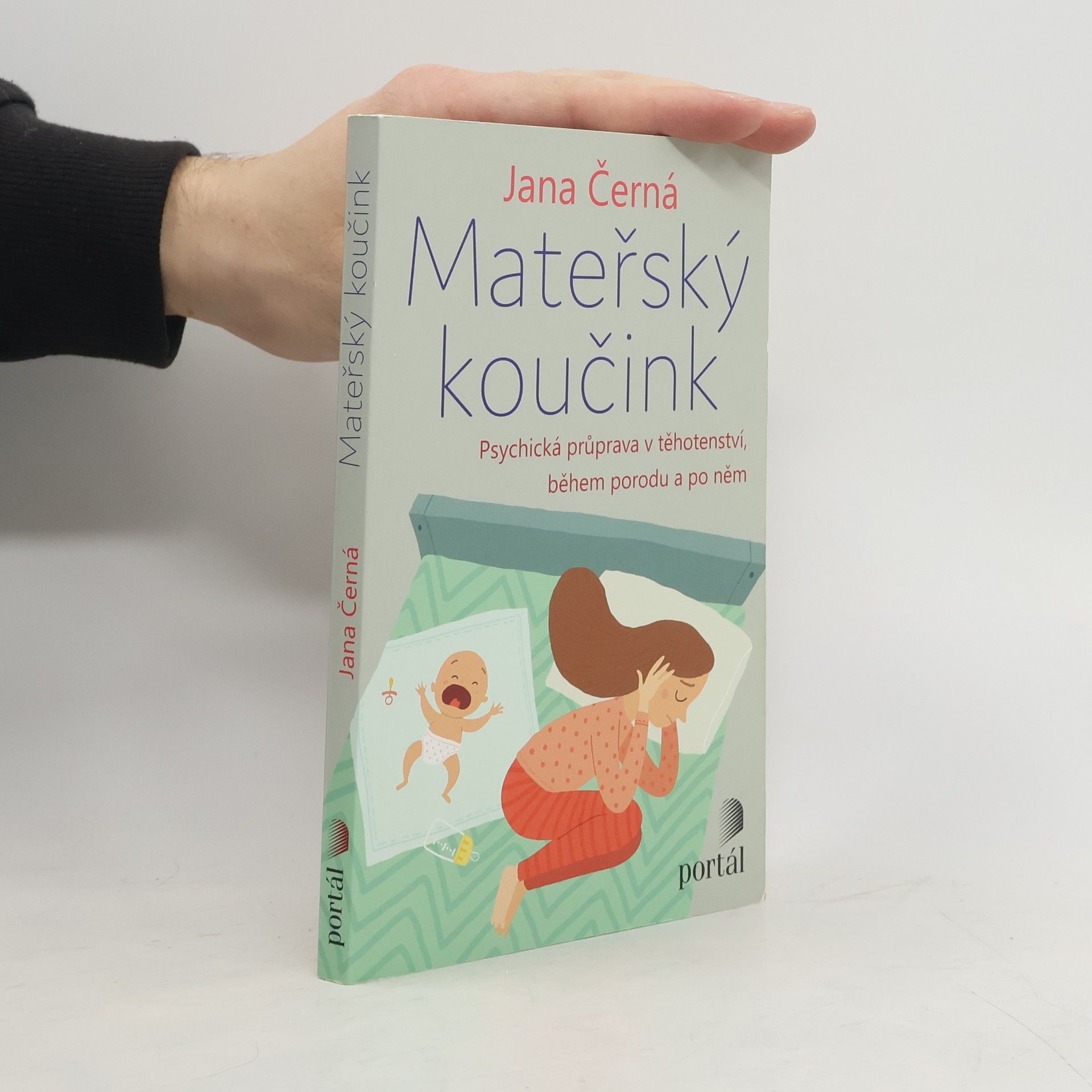 Jana Krejcarová Mateřský koučink. Psychická průprava v těhotenství, během porodu a po něm