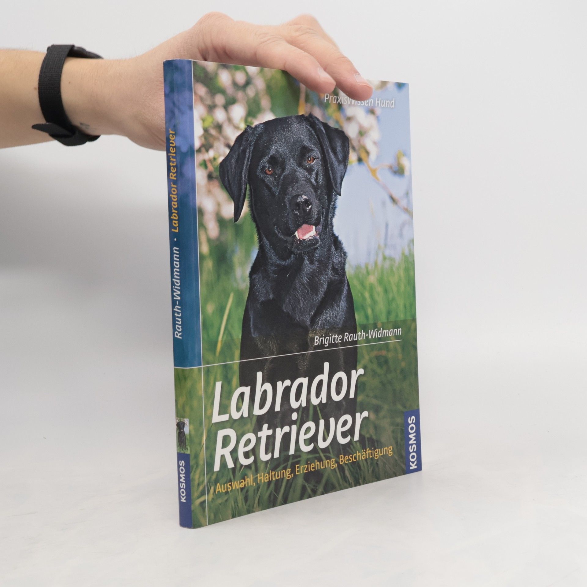 Brigitte Rauth-Widmann Labrador Retriever