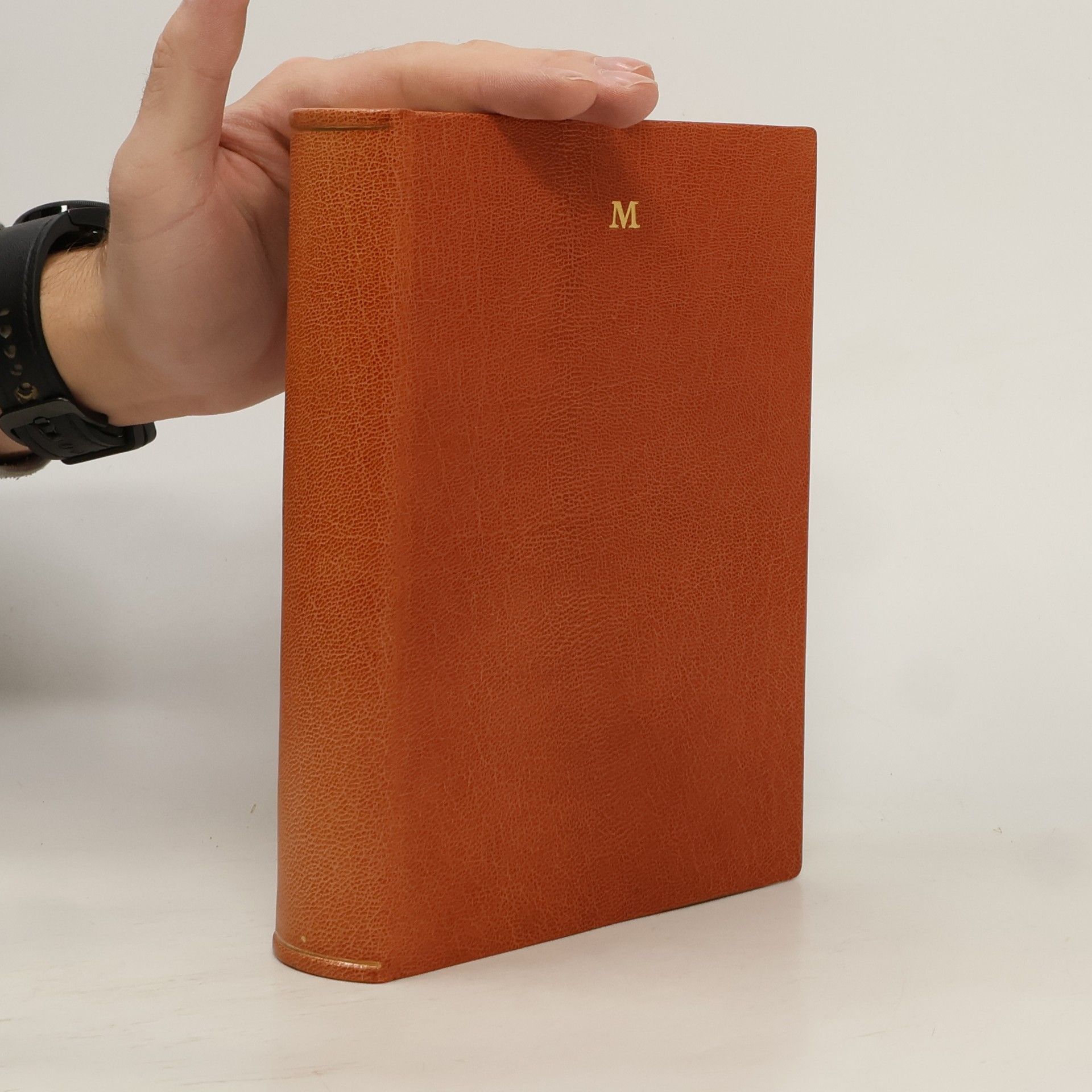 Begegnungen mit Engeln und Menschen