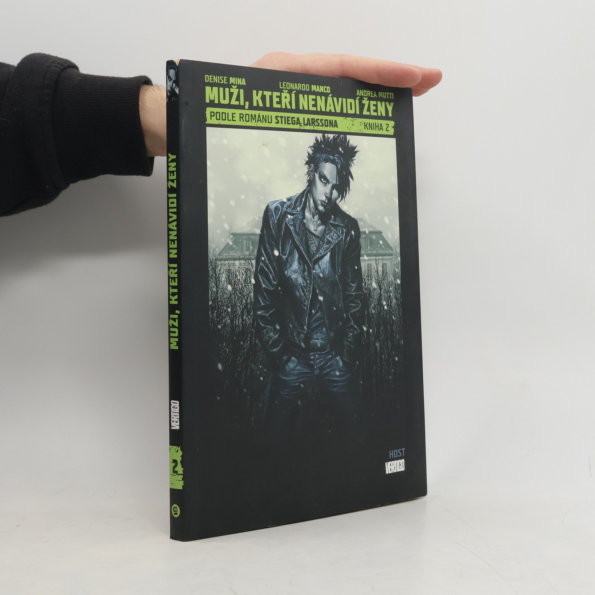 Muži, kteří nenávidí ženy II