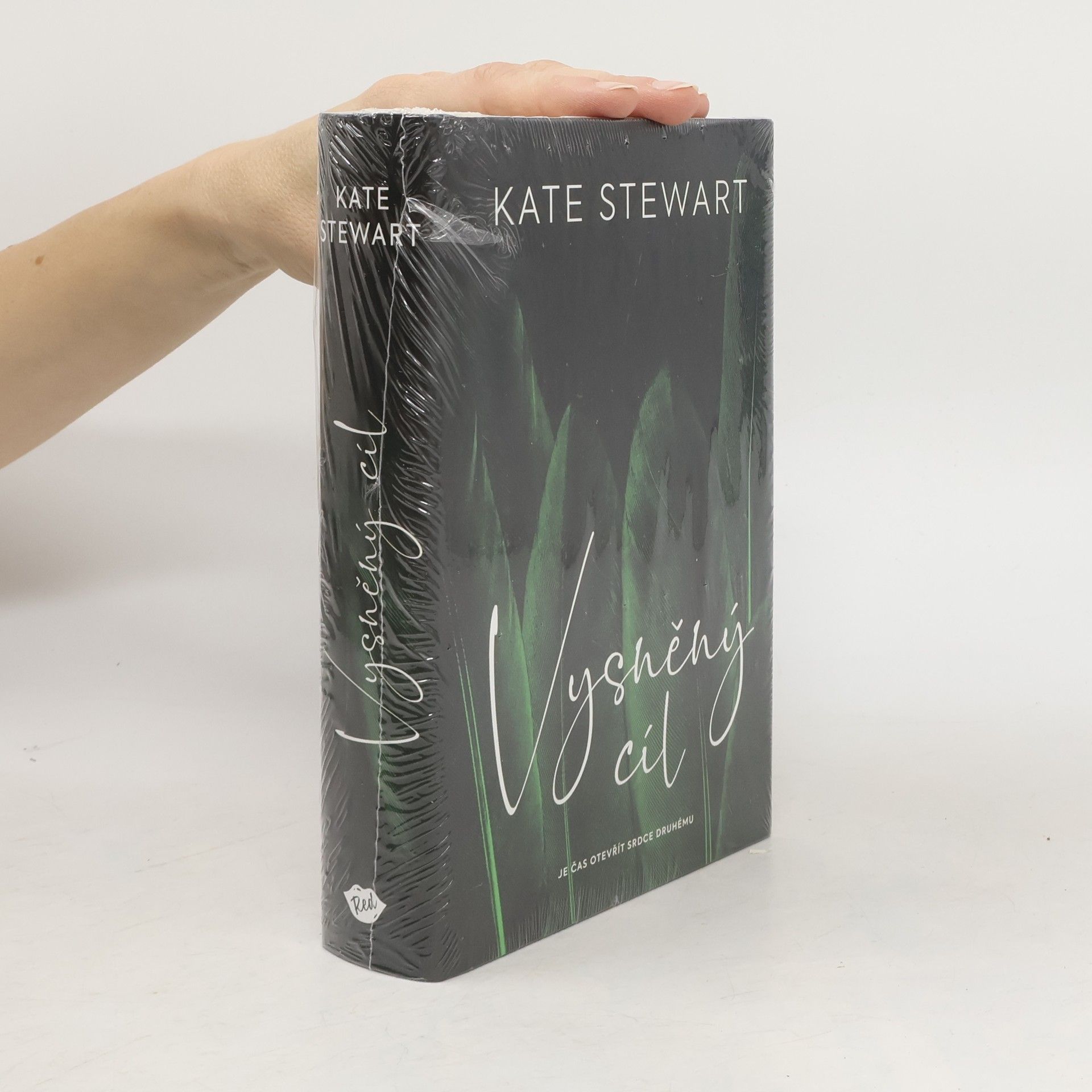 Kate Stewart Vysněný cíl. Kniha třetí