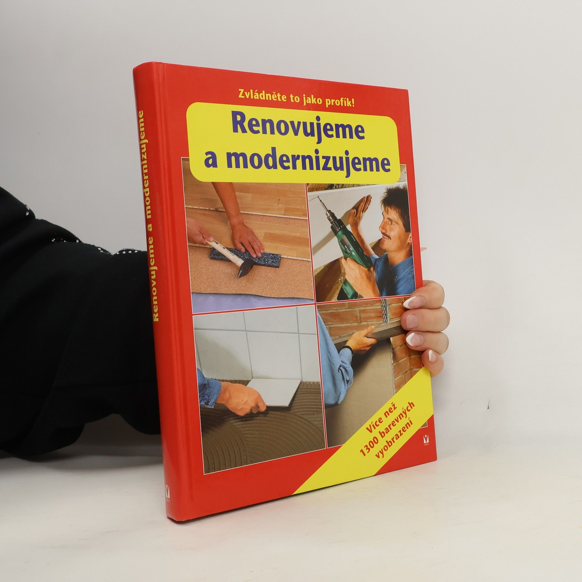 Kolektív autorov Renovujeme a modernizujeme