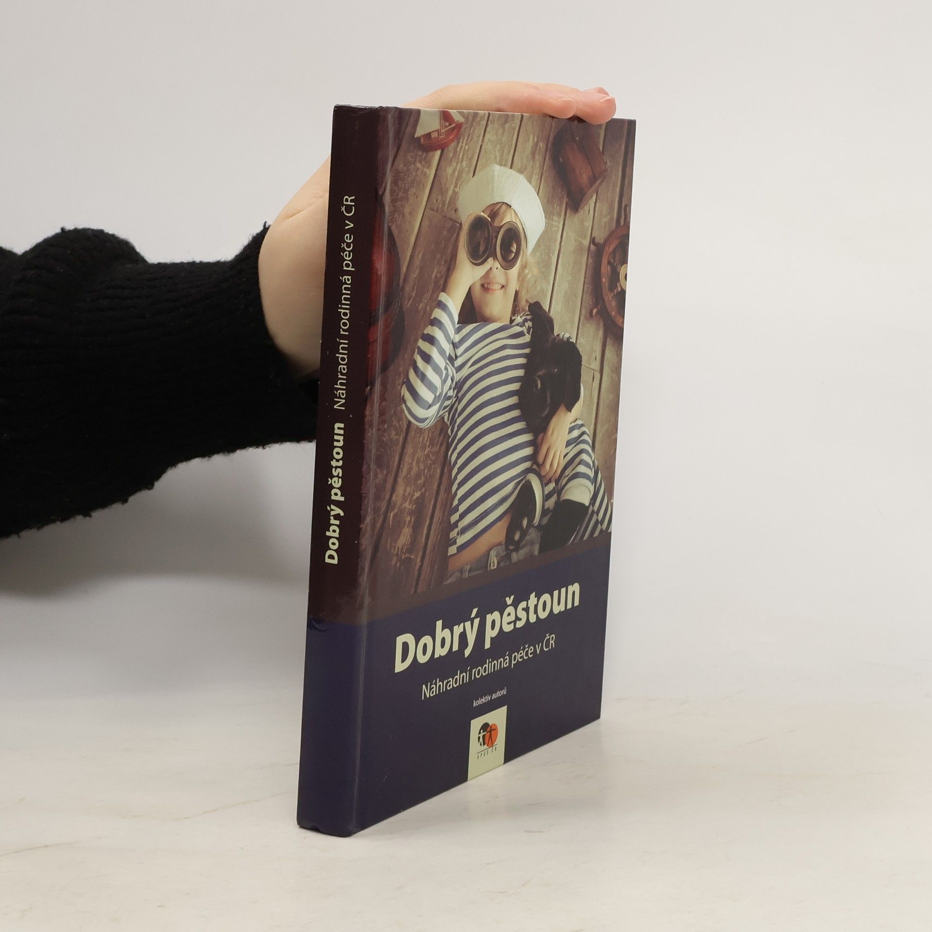 Autorenkollektiv Dobrý pěstoun - náhradní rodinná péče v ČR