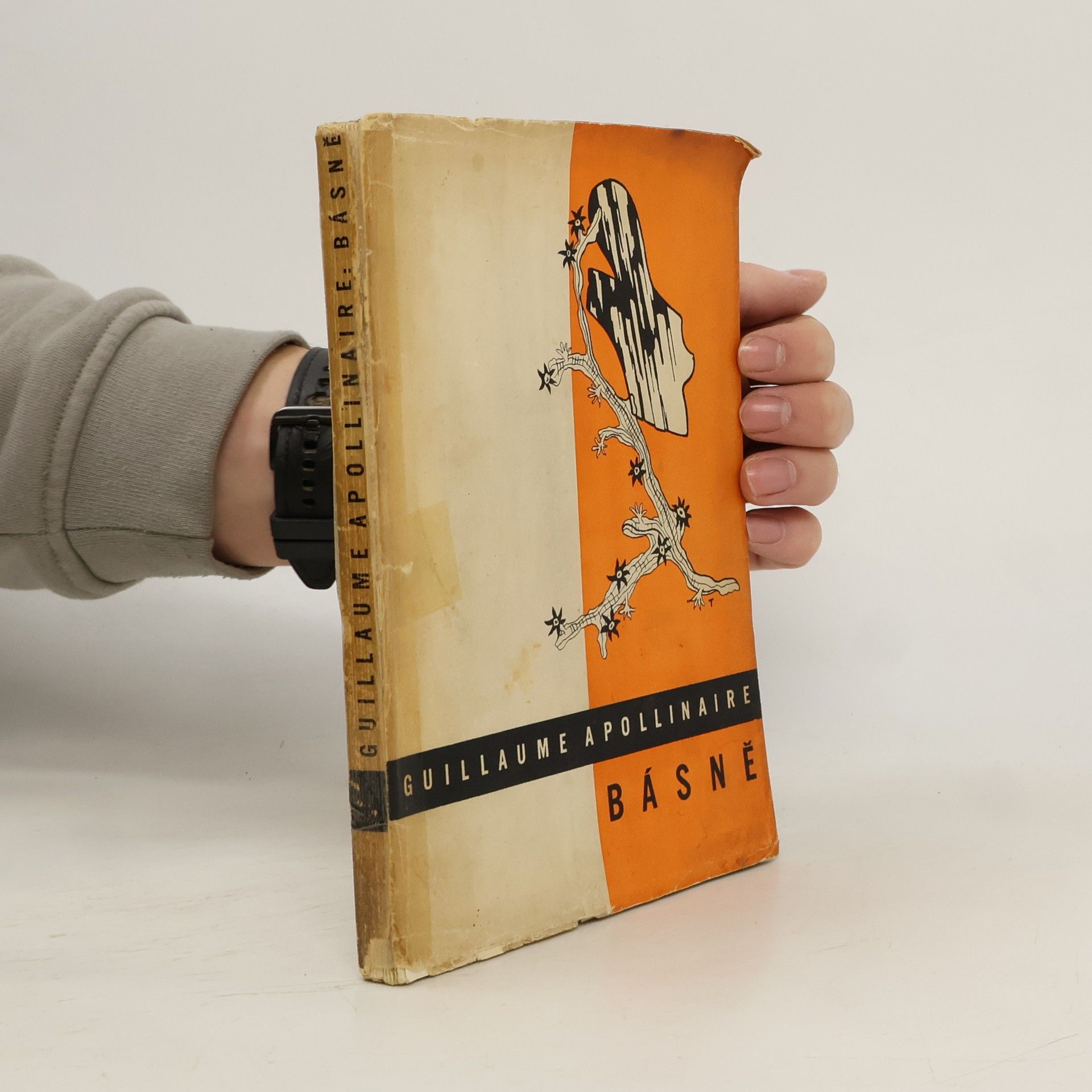 Guillaume Apollinaire Básně