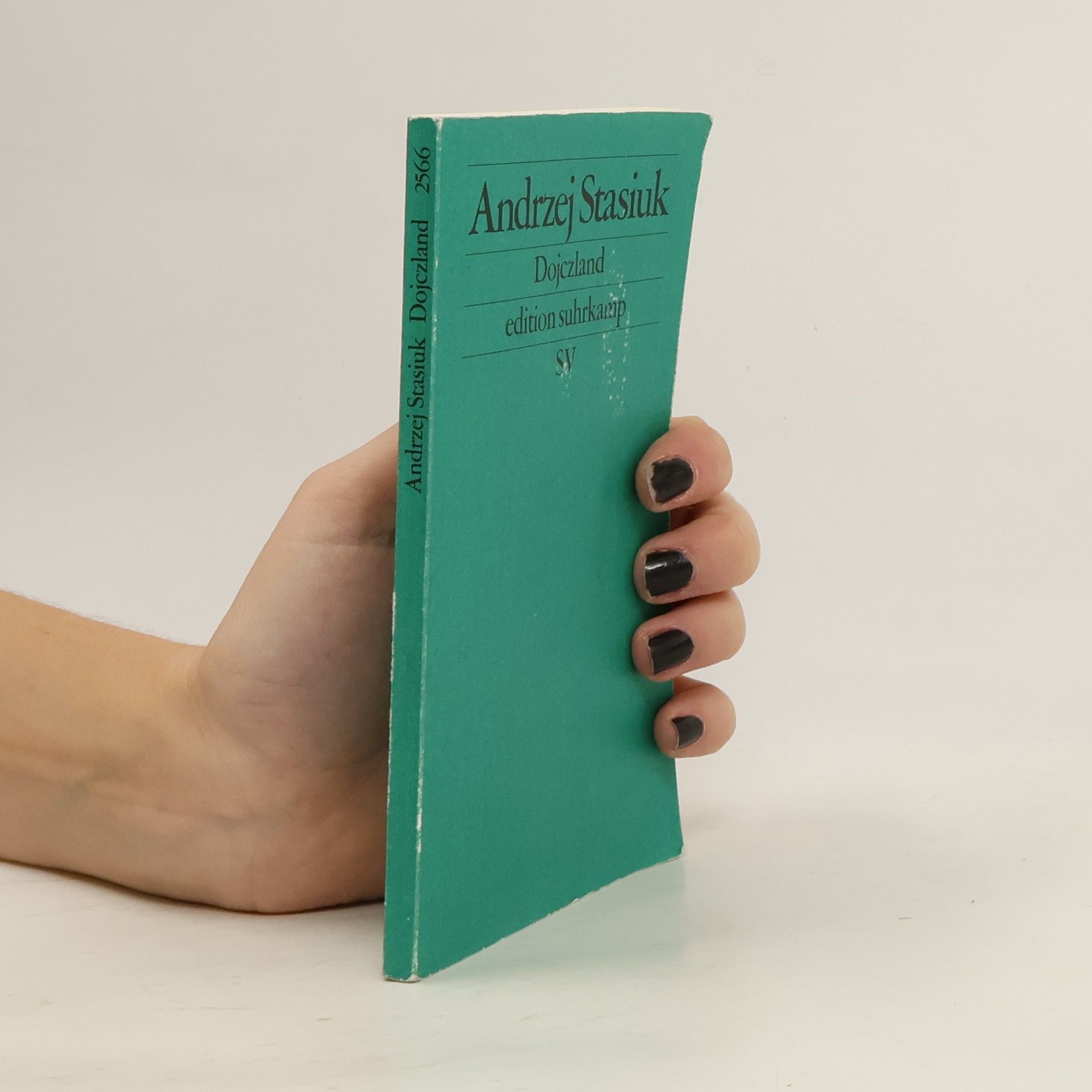 Andrzej Stasiuk Dojczland