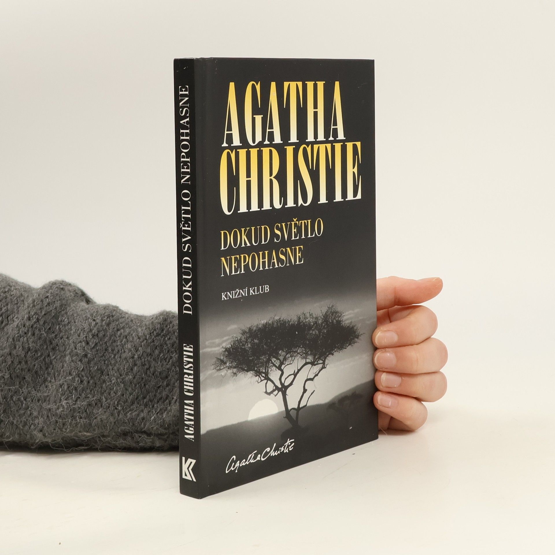 Agatha Christie Dokud světlo nepohasne