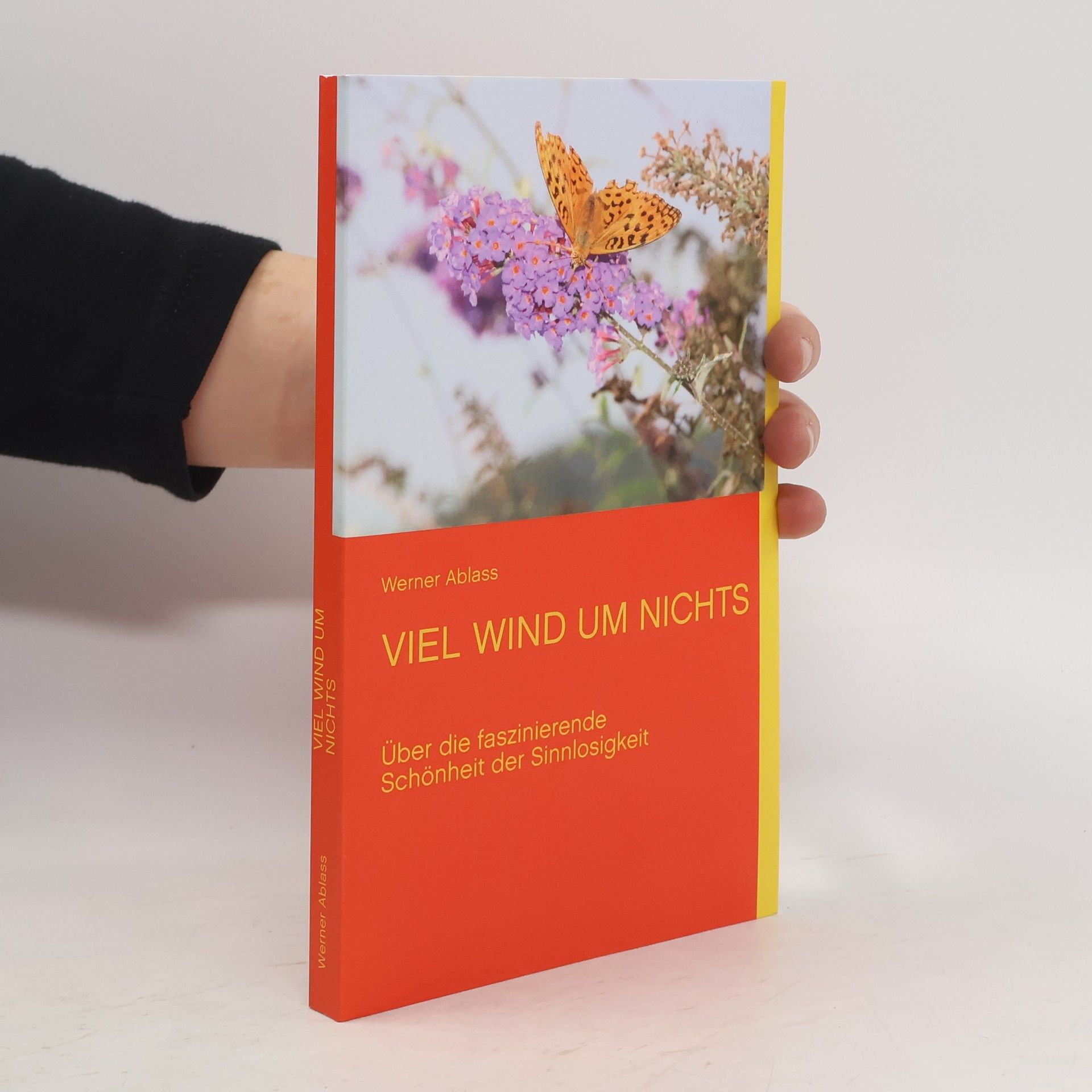 Werner Ablass Viel Wind um Nichts
