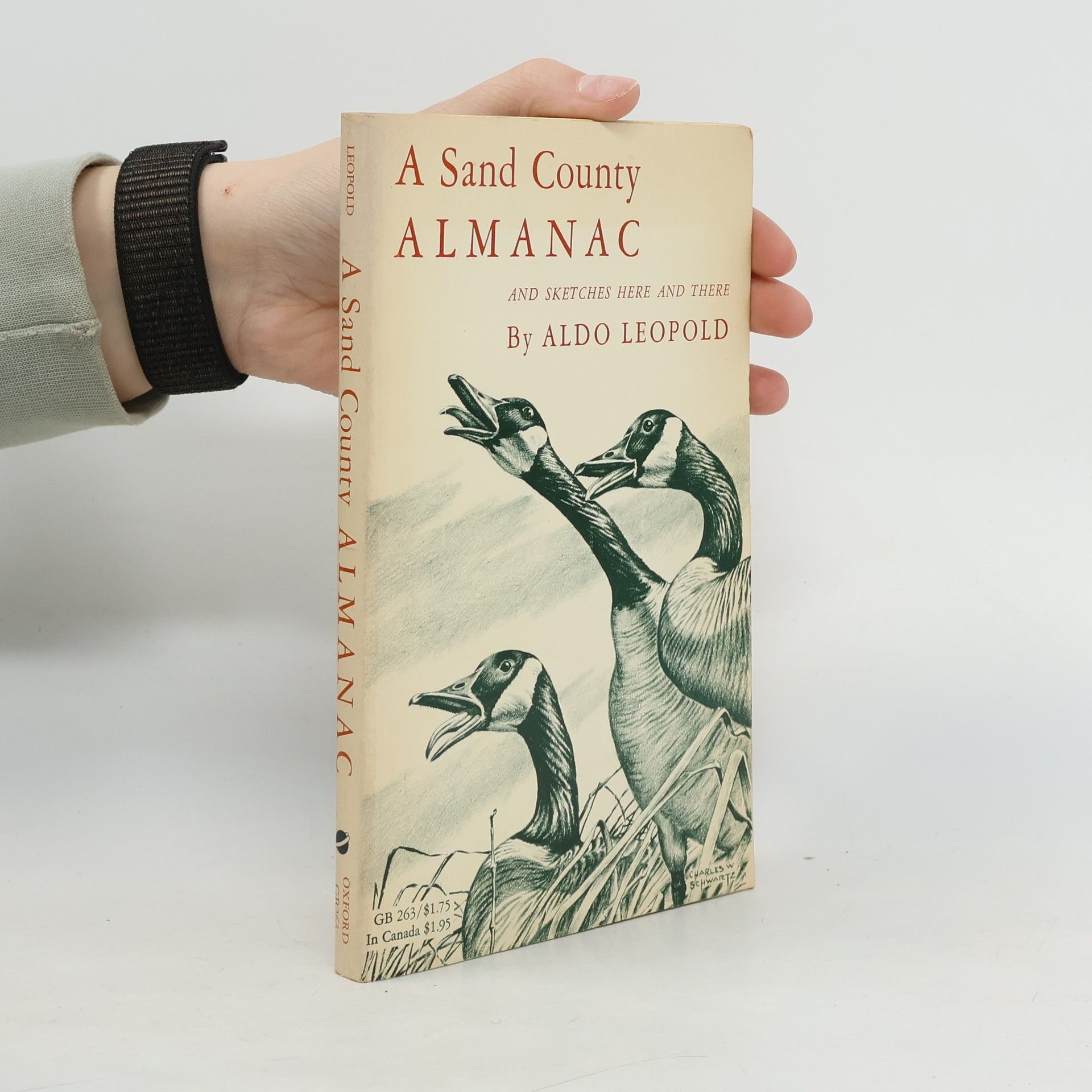 Aldo Leopold A Sand County Almanac and Sketches Here and There