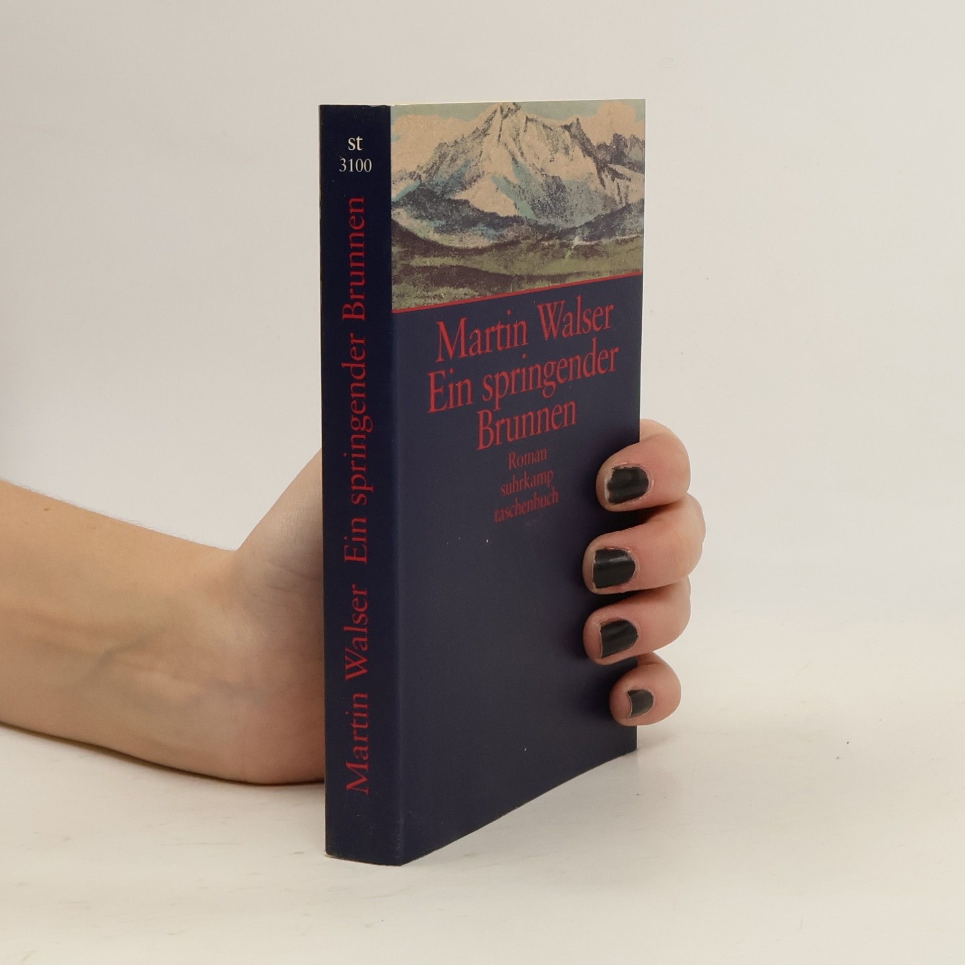 Martin Walser Ein springender Brunnen