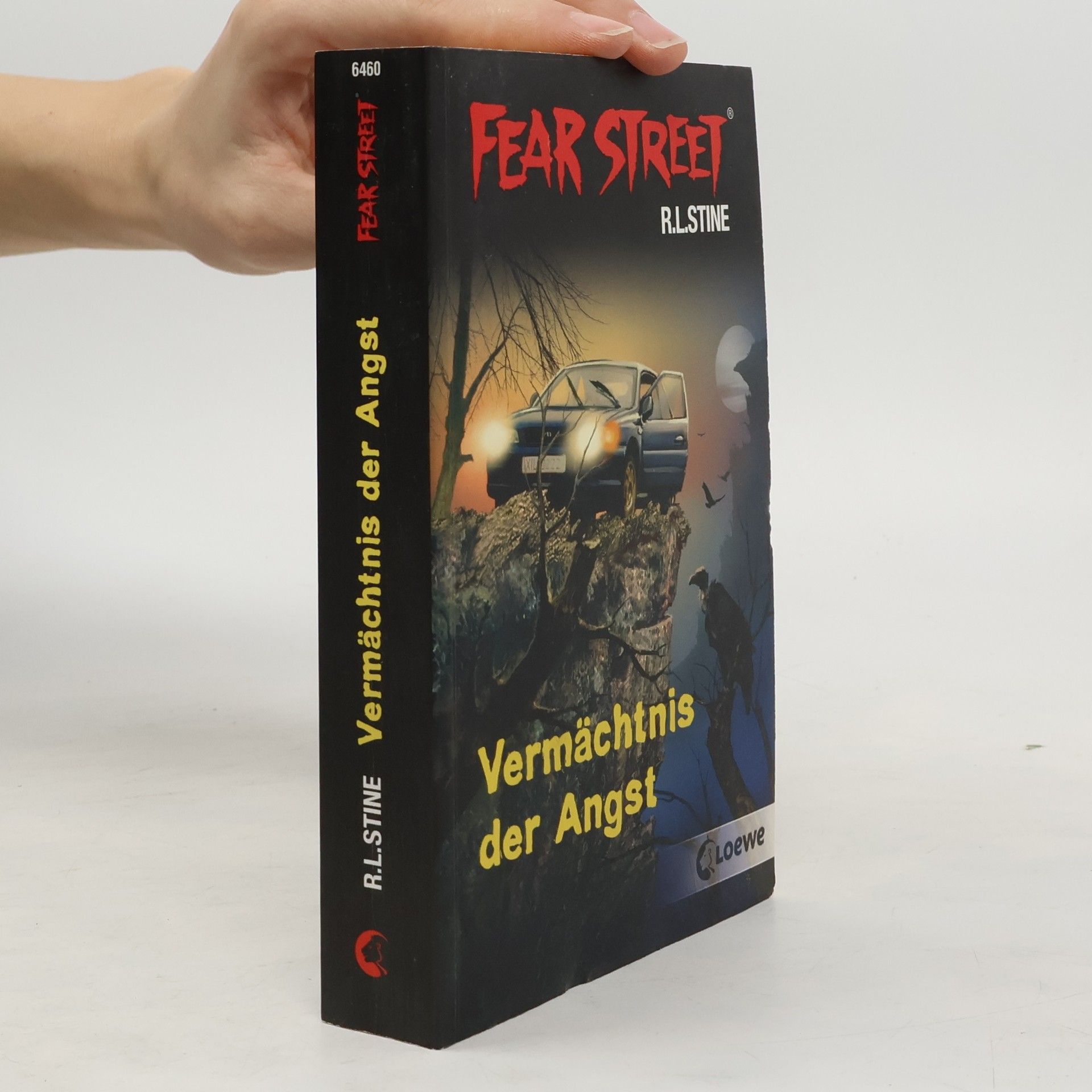 R. L. Stine Fear Street: Vermächtnis der Angst
