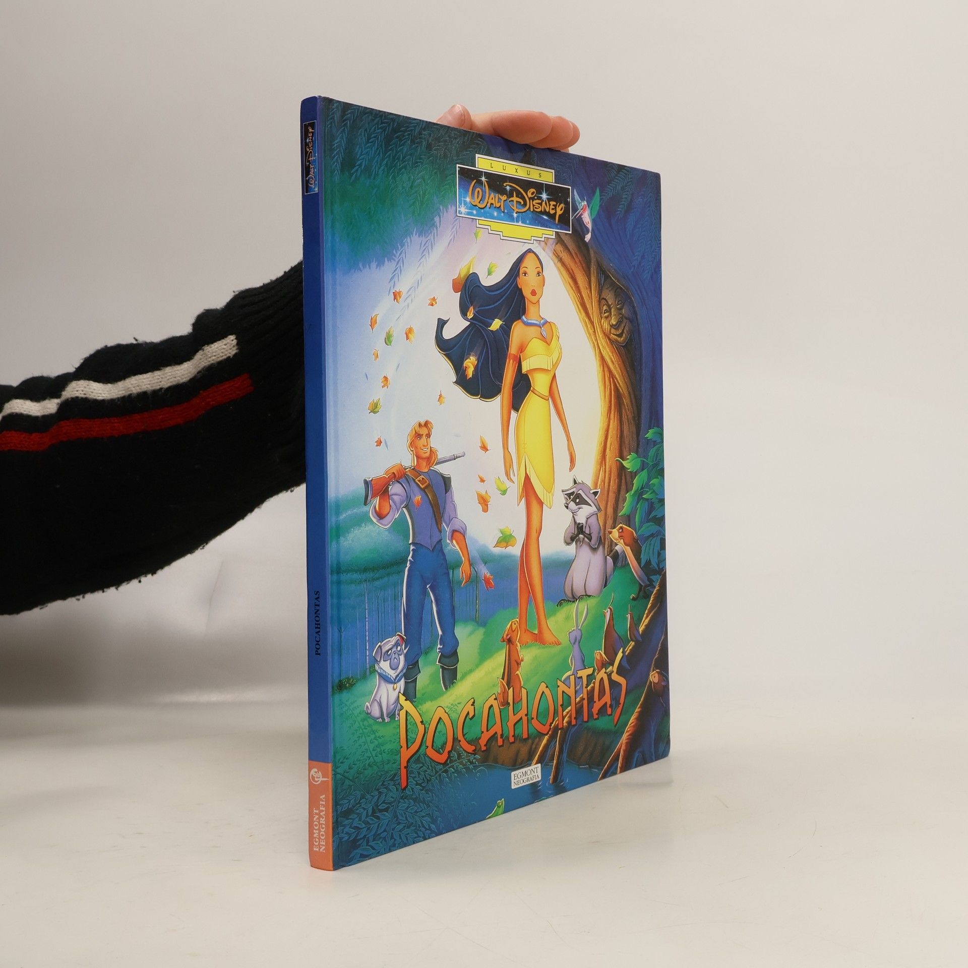 Walt Disney Pocahontas