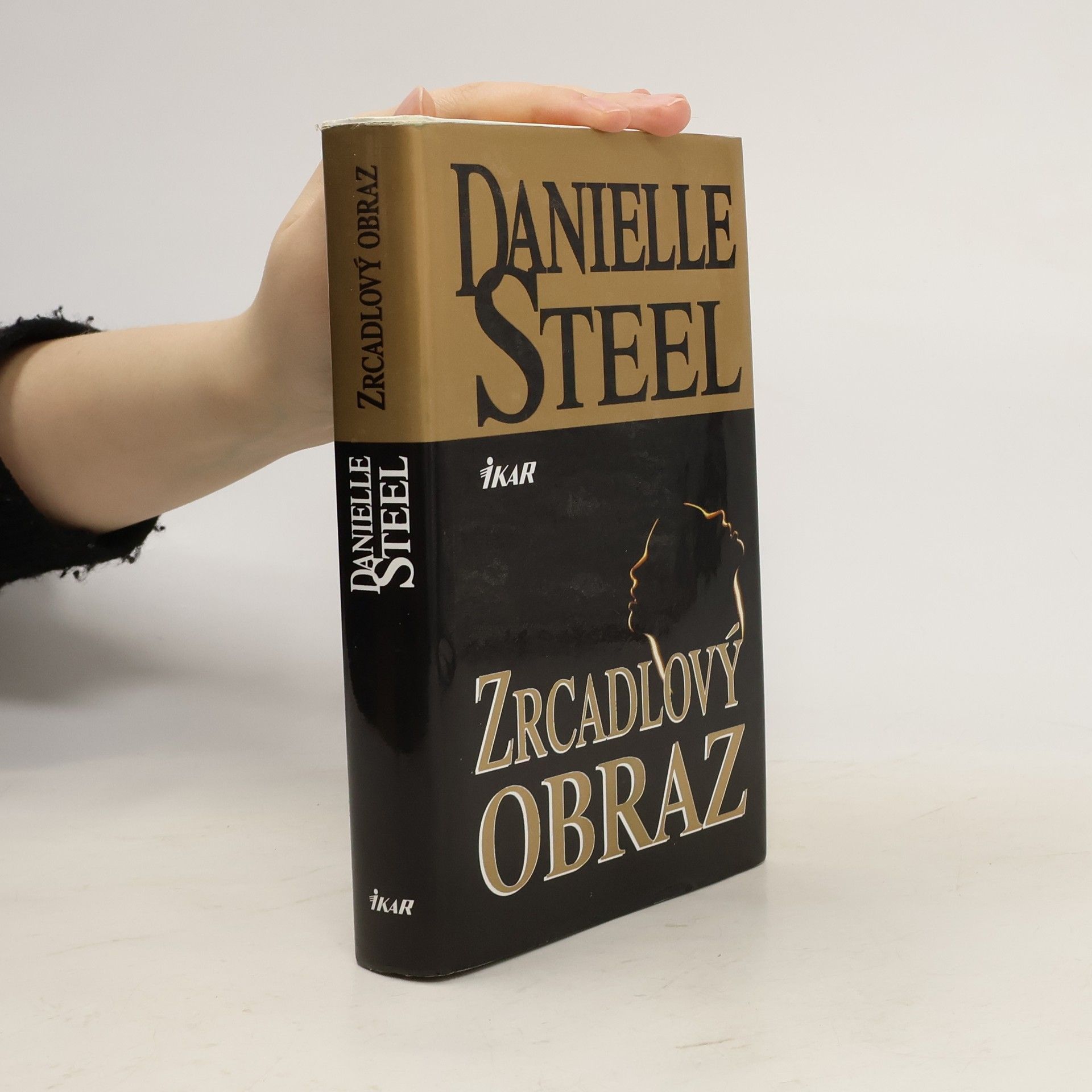 Danielle Steel Zrcadlový obraz