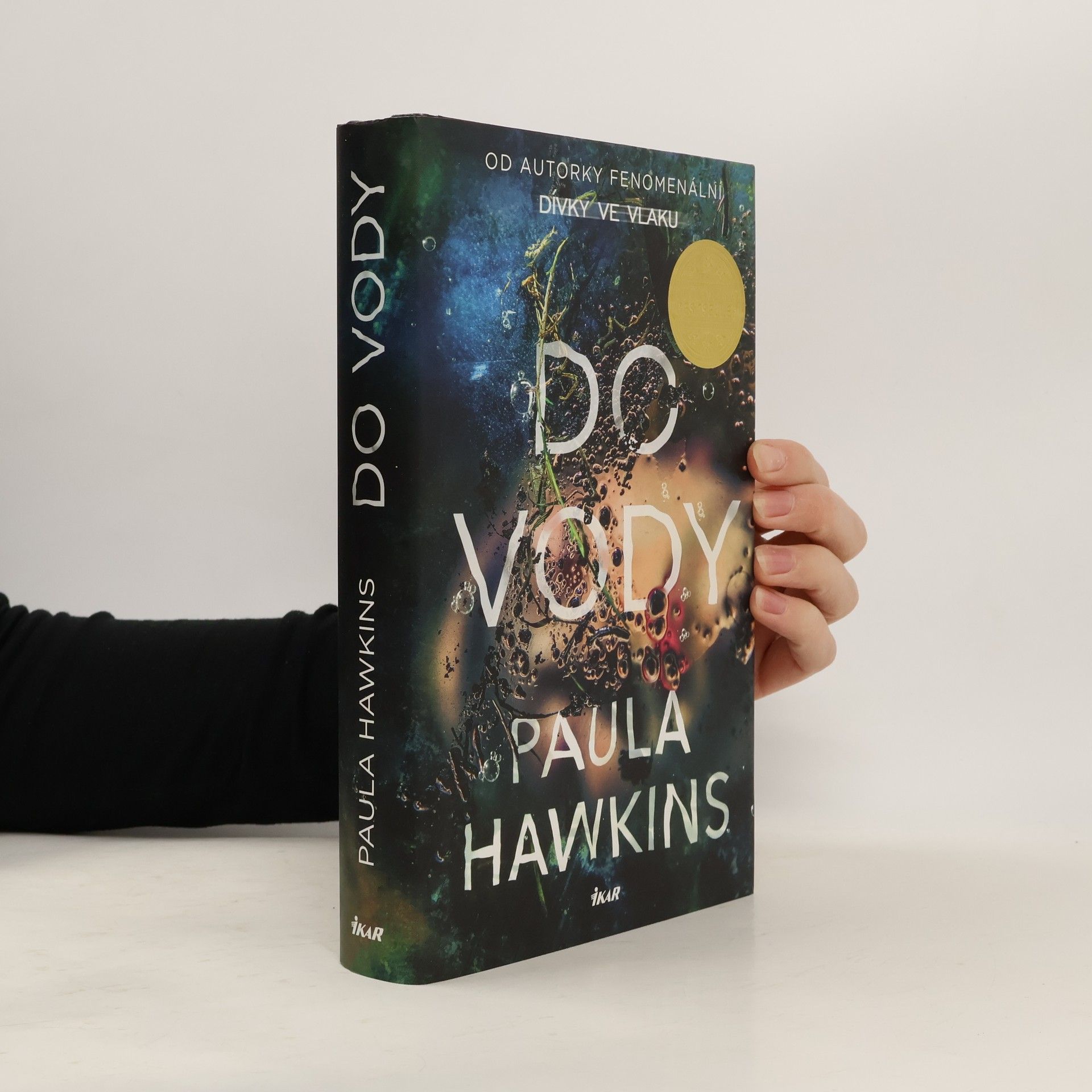 Paula Hawkins Do vody