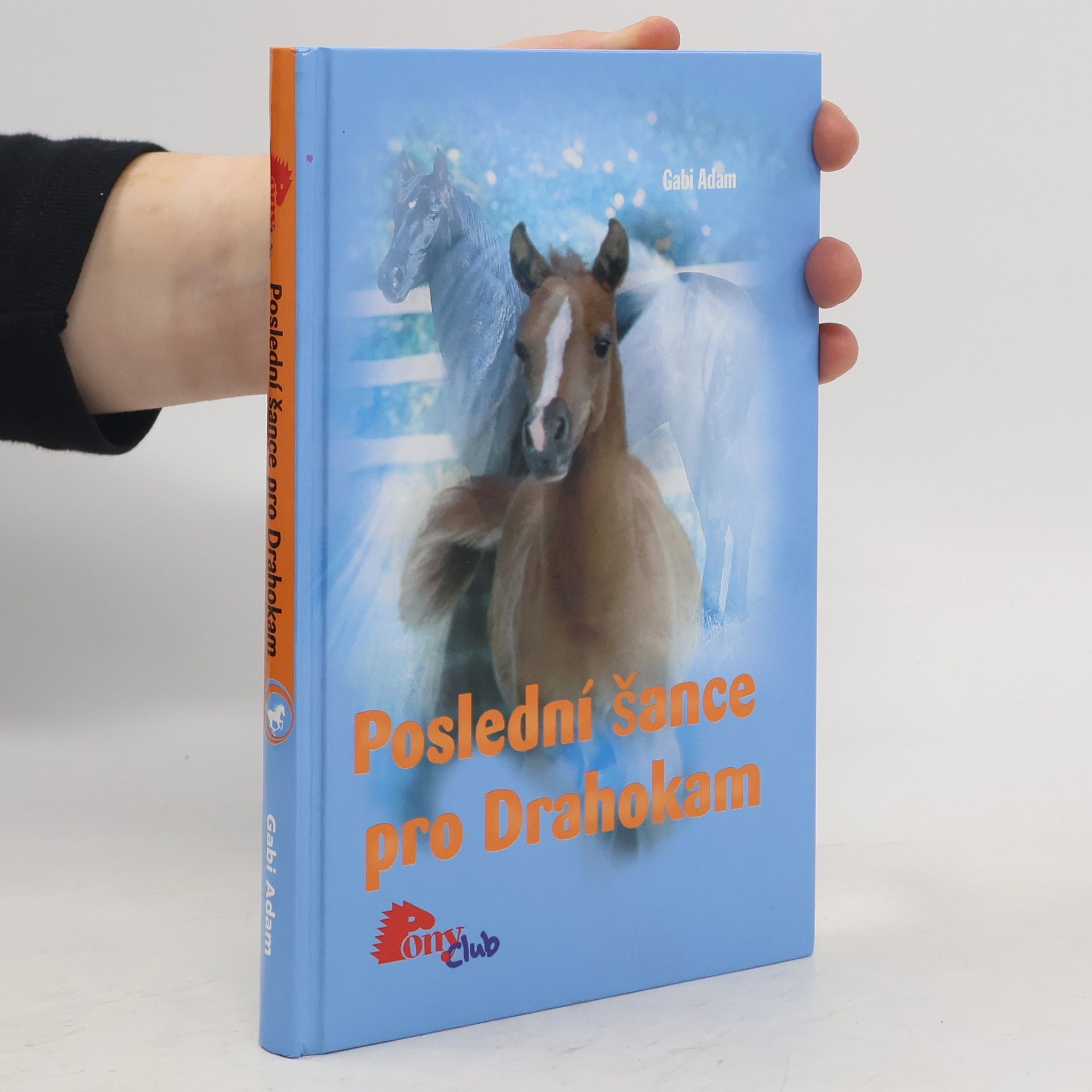 Gabi Adam Poslední šance pro Drahokam