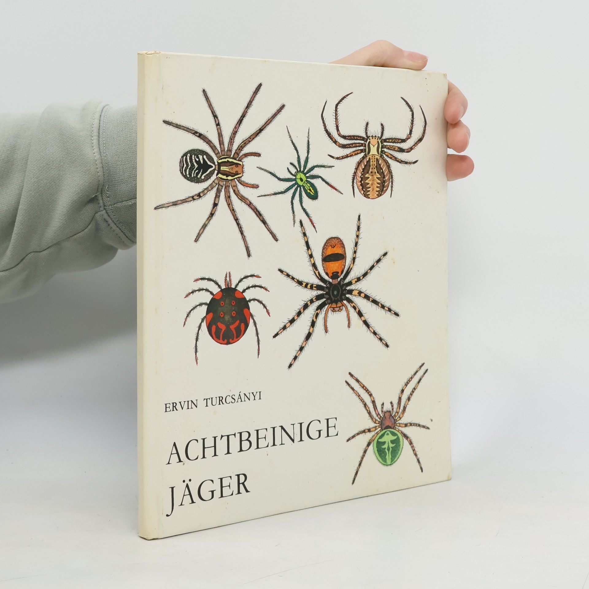 Ervin Turcsányi Achtbeinige Läger