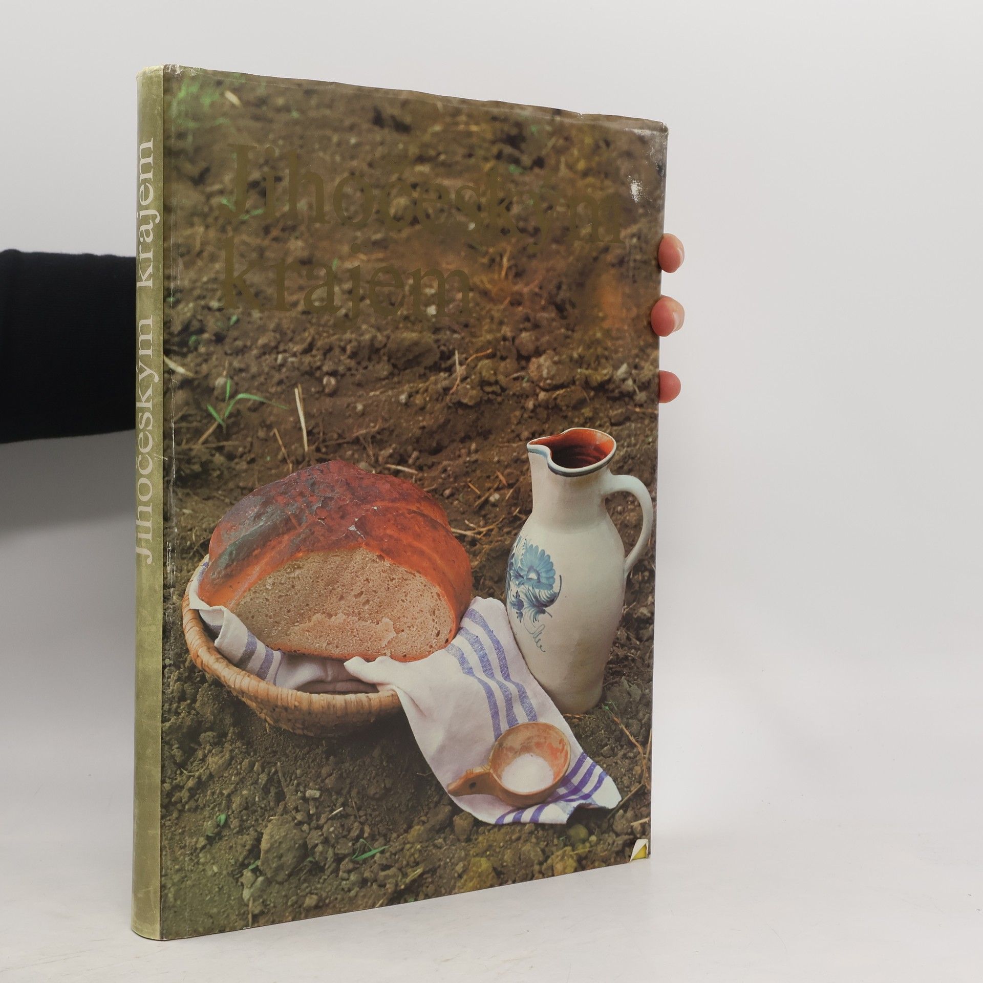 František Dvořák Jihočeským krajem