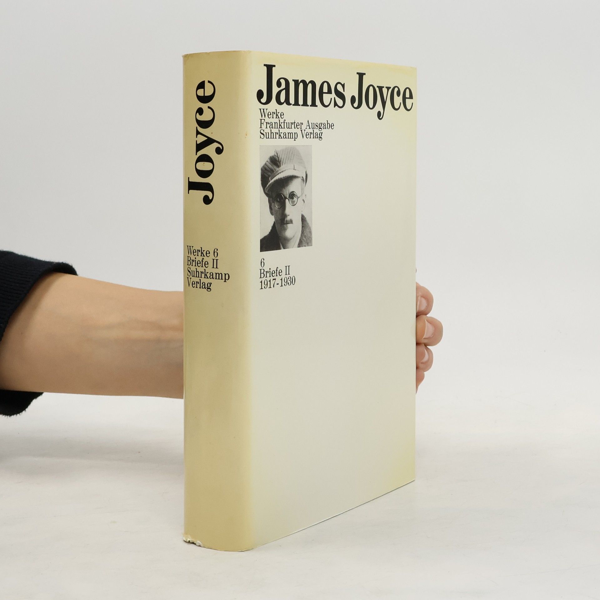 James Joyce Frankfurter Ausgabe Werke 6. Briefe II