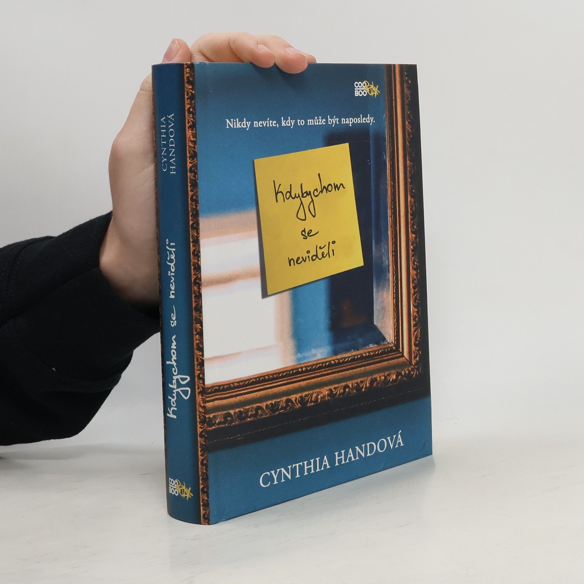 Cynthia Hand Kdybychom se neviděli