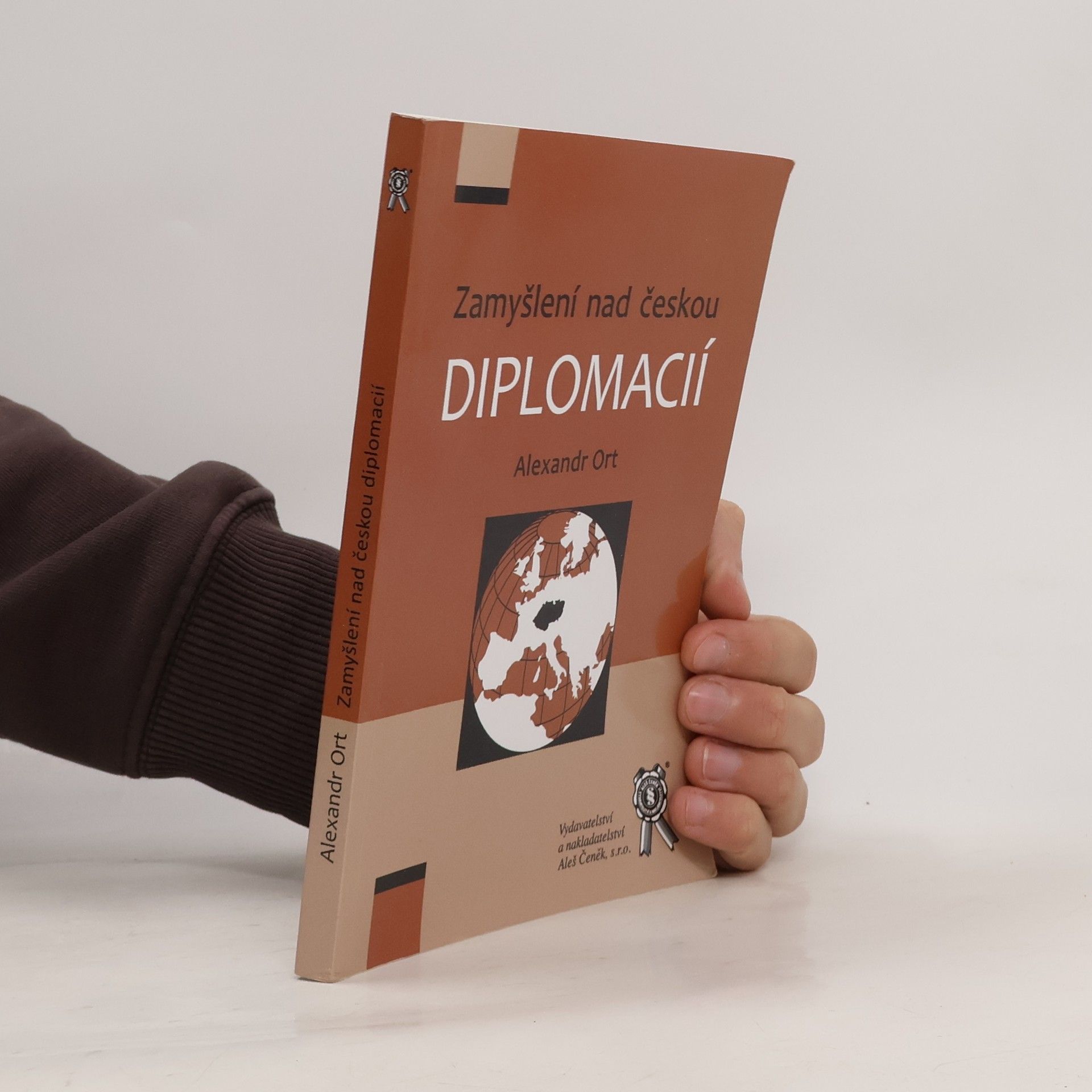 Zamyšlení nad českou diplomacií