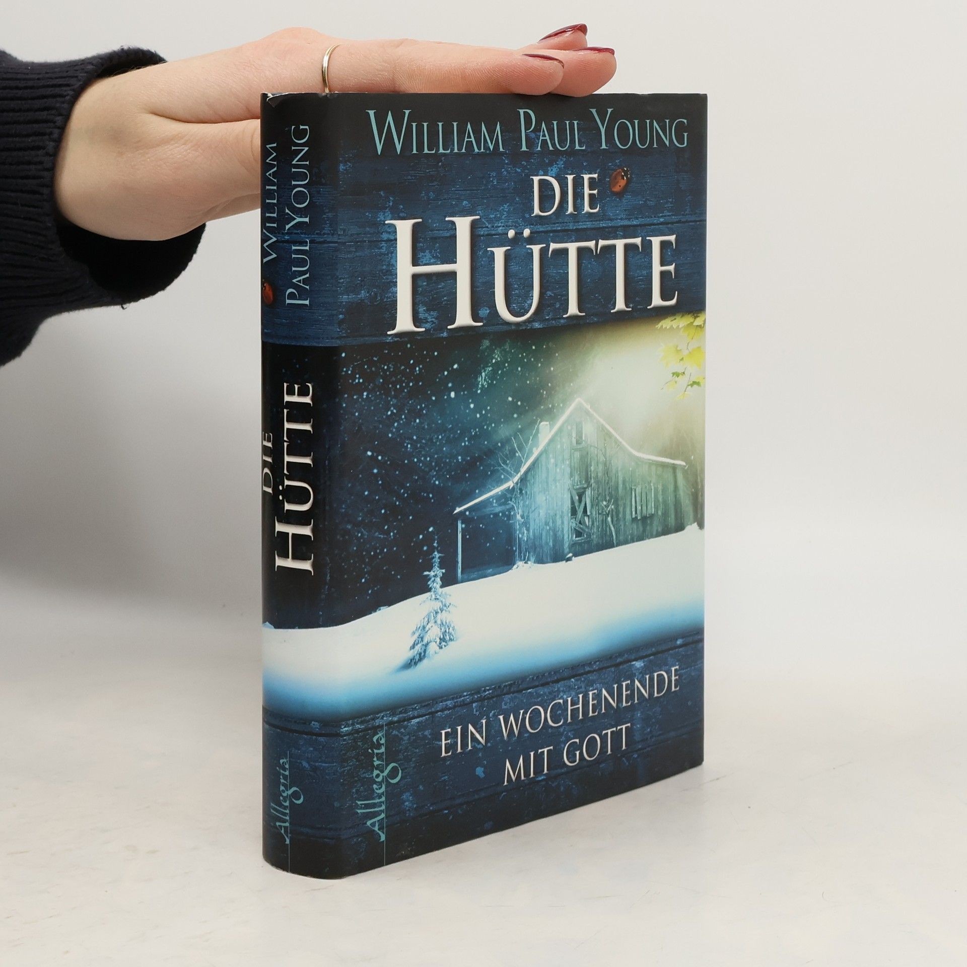 William P. Young Die Hütte