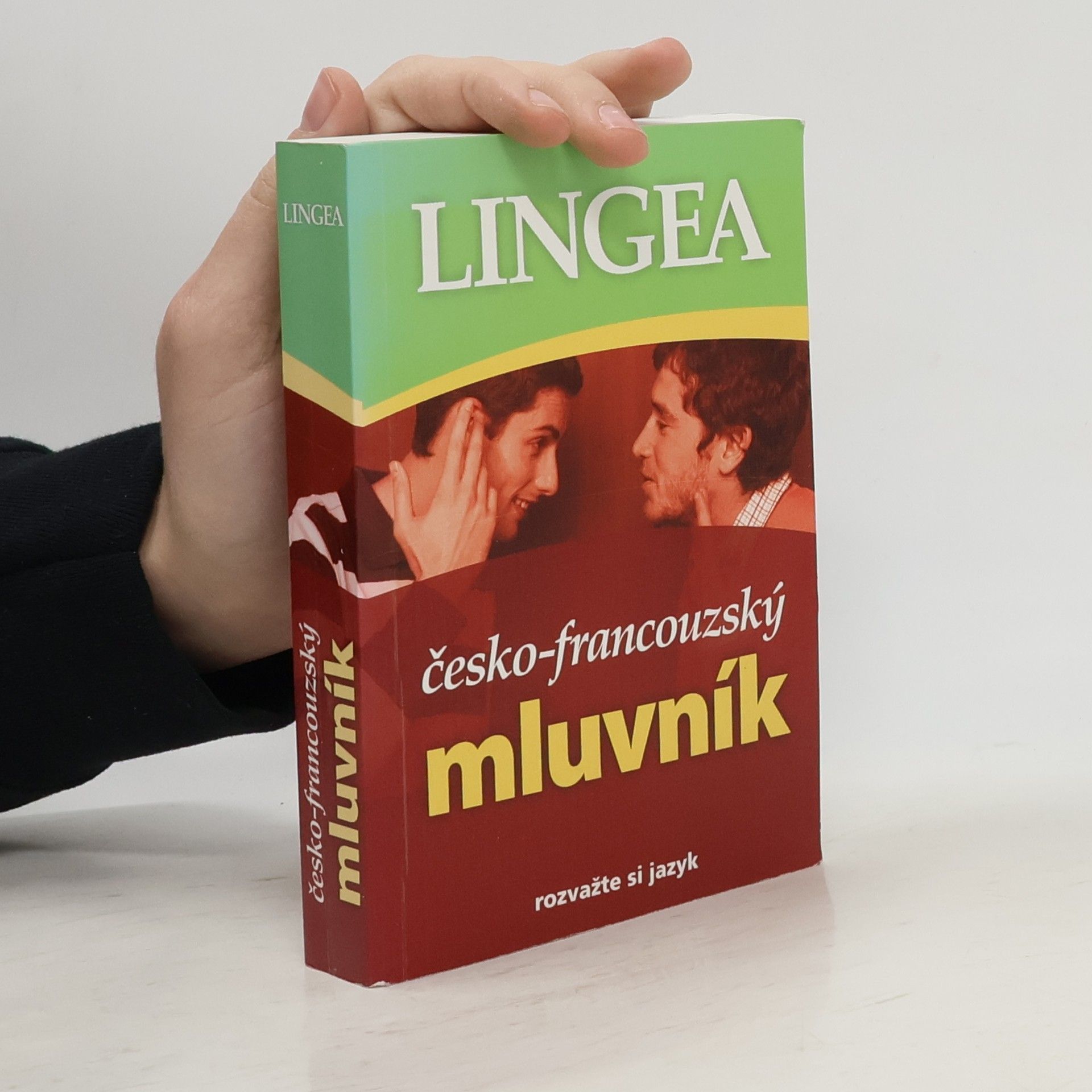 Kolektiv autorů Česko-francouzský mluvník