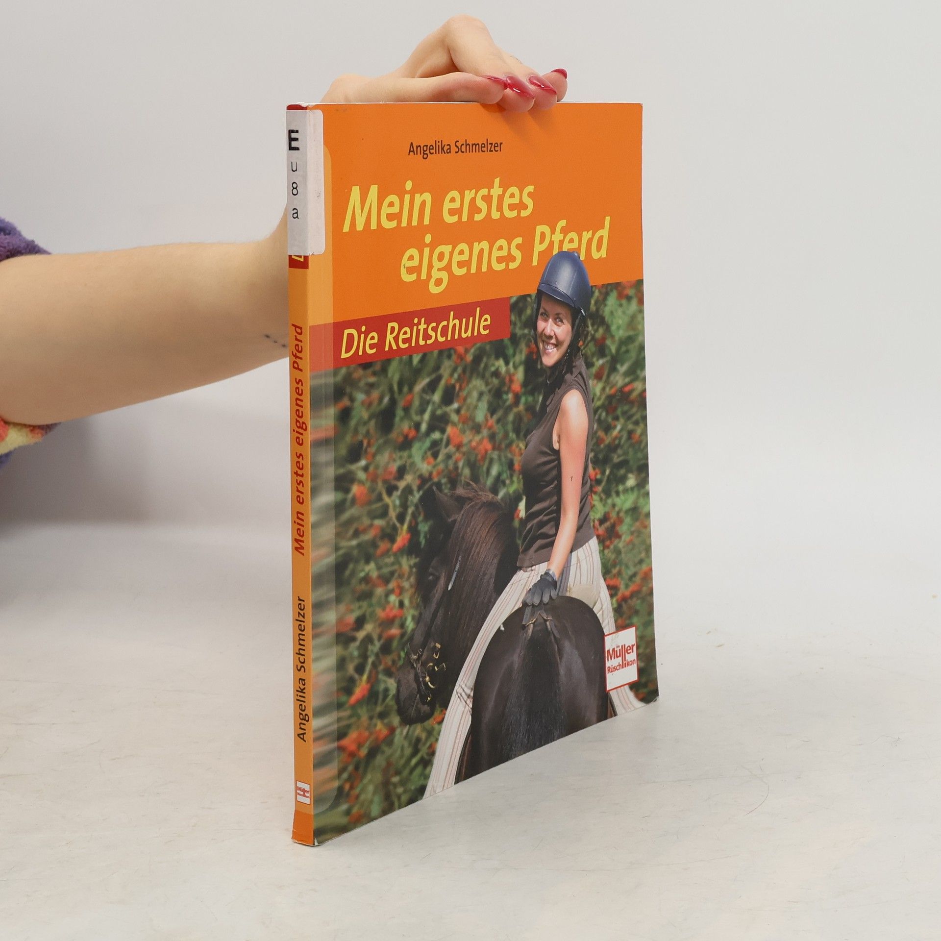 Mein erstes eigenes Pferd