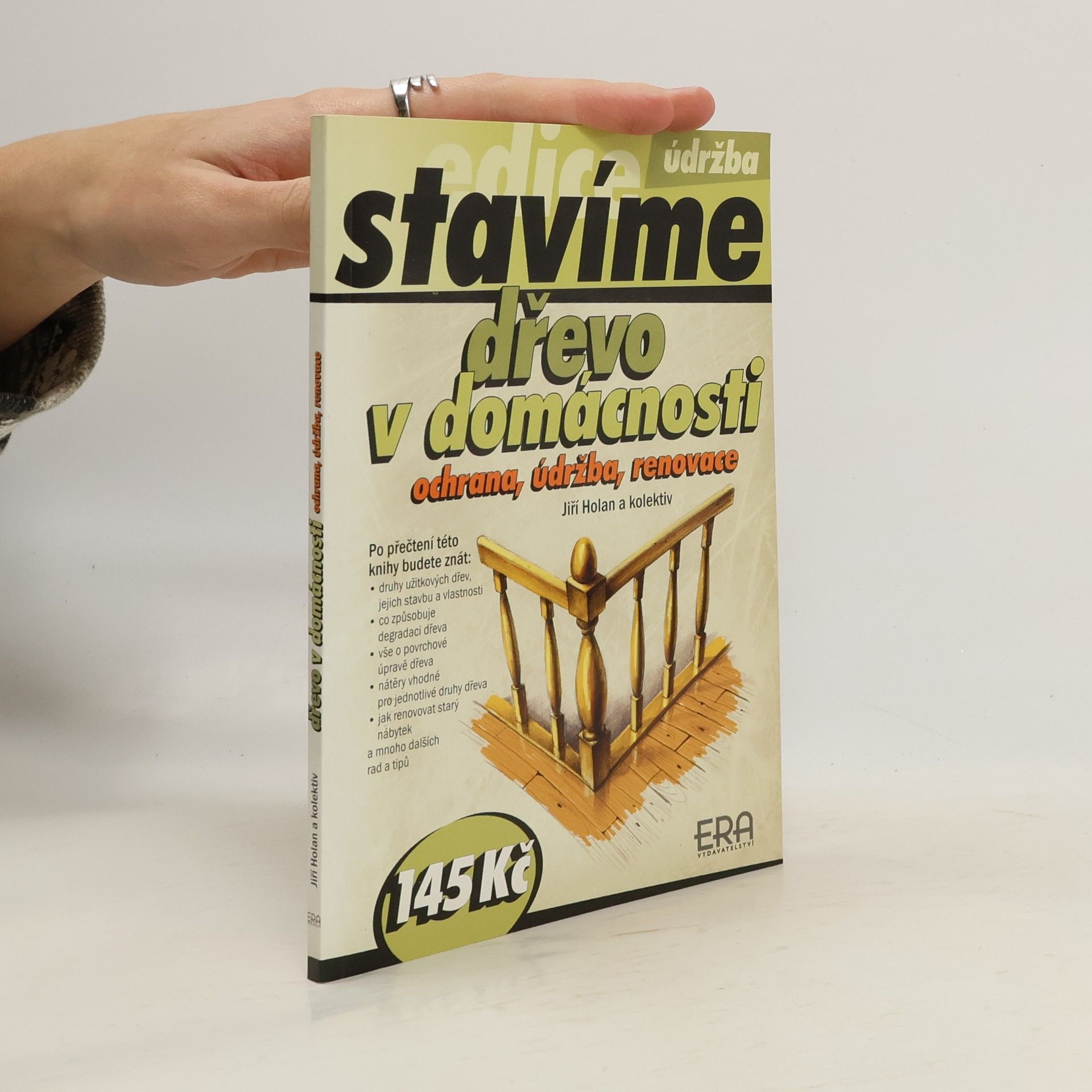 Jiří Holan Dřevo v domácnosti - ochrana, údržba, renovace