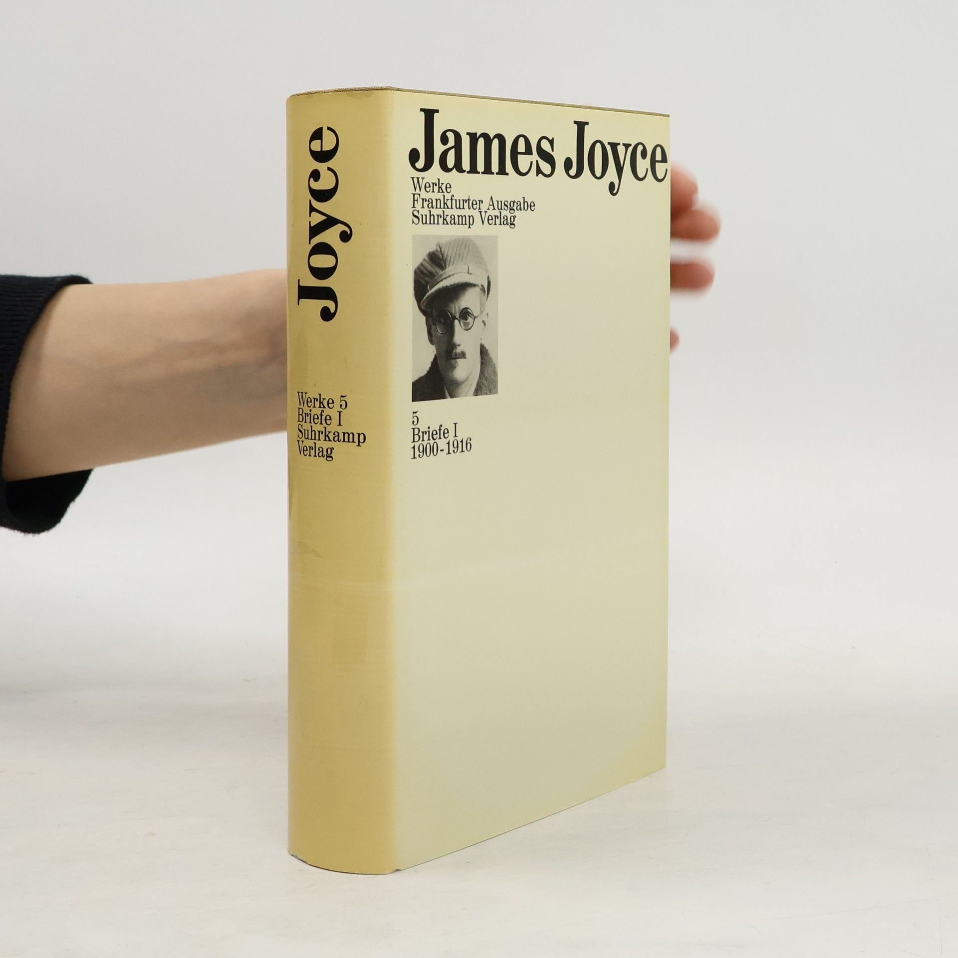 James Joyce Werke 5. Briefe I.
