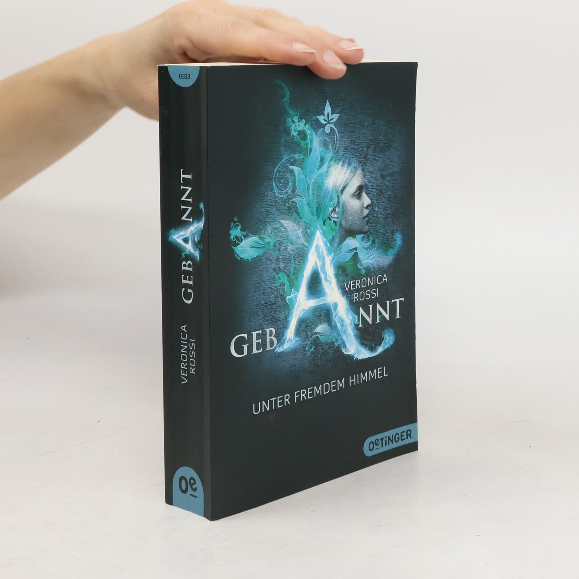 Gebannt - unter fremdem Himmel