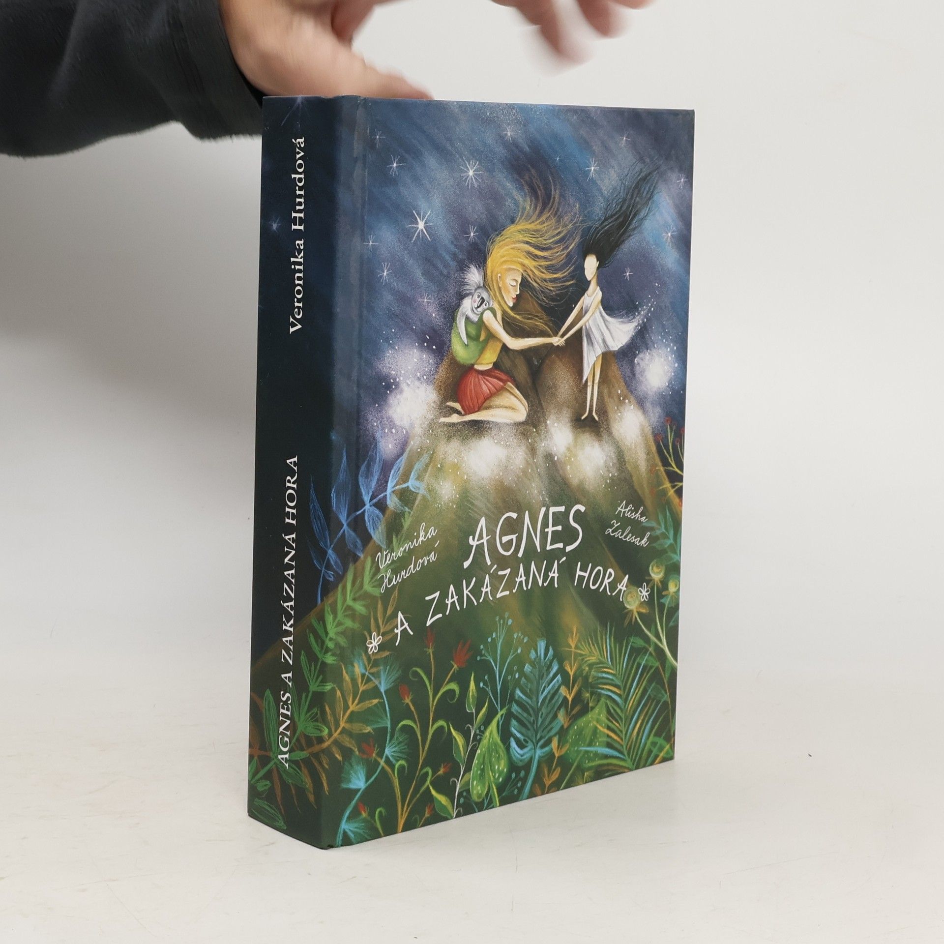 Veronika Hájek Hurdová Agnes a Zakázaná hora