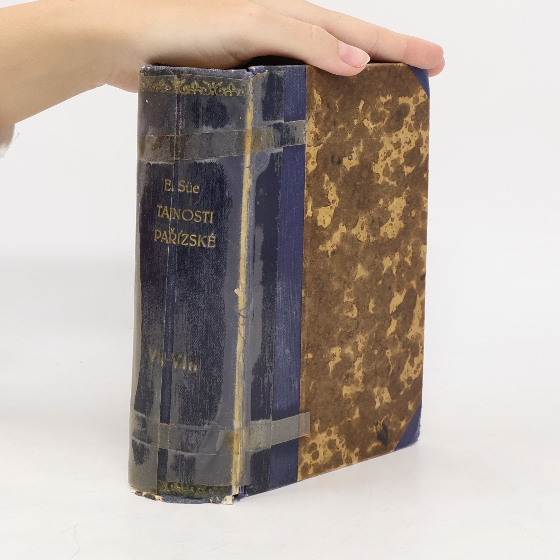 Evžen Süe Tajnosti pařížské VII.