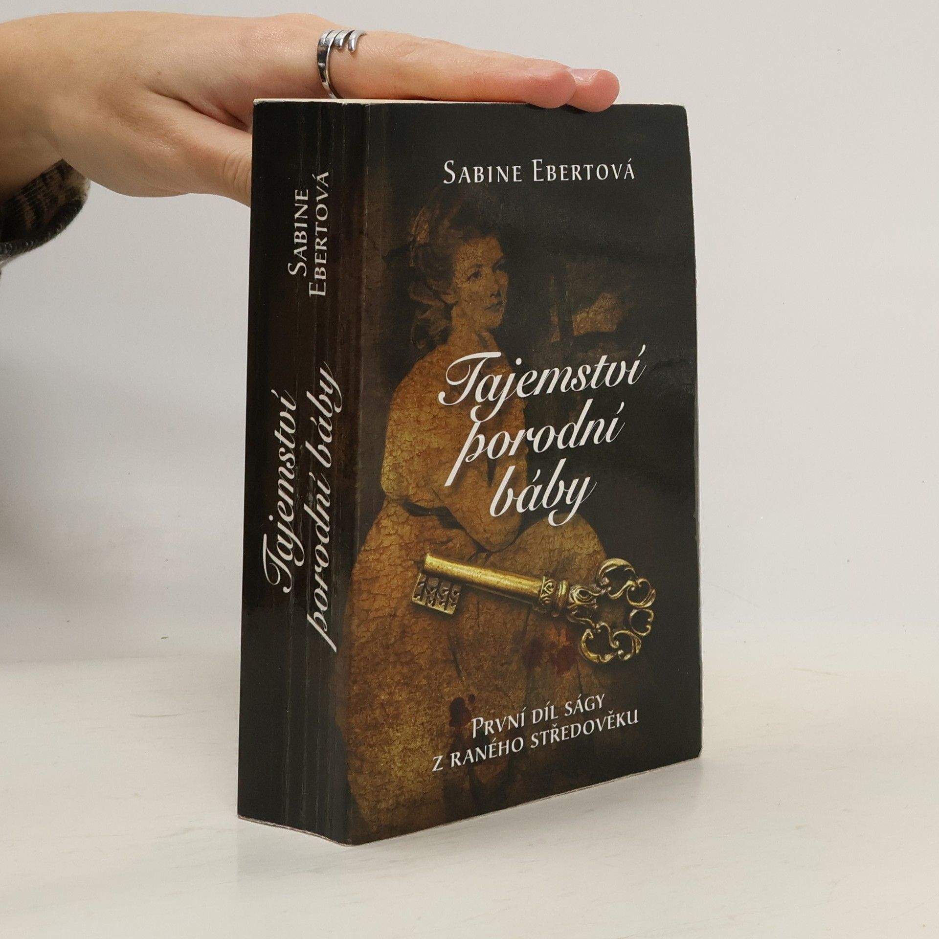 Sabine Ebert Tajemství porodní báby