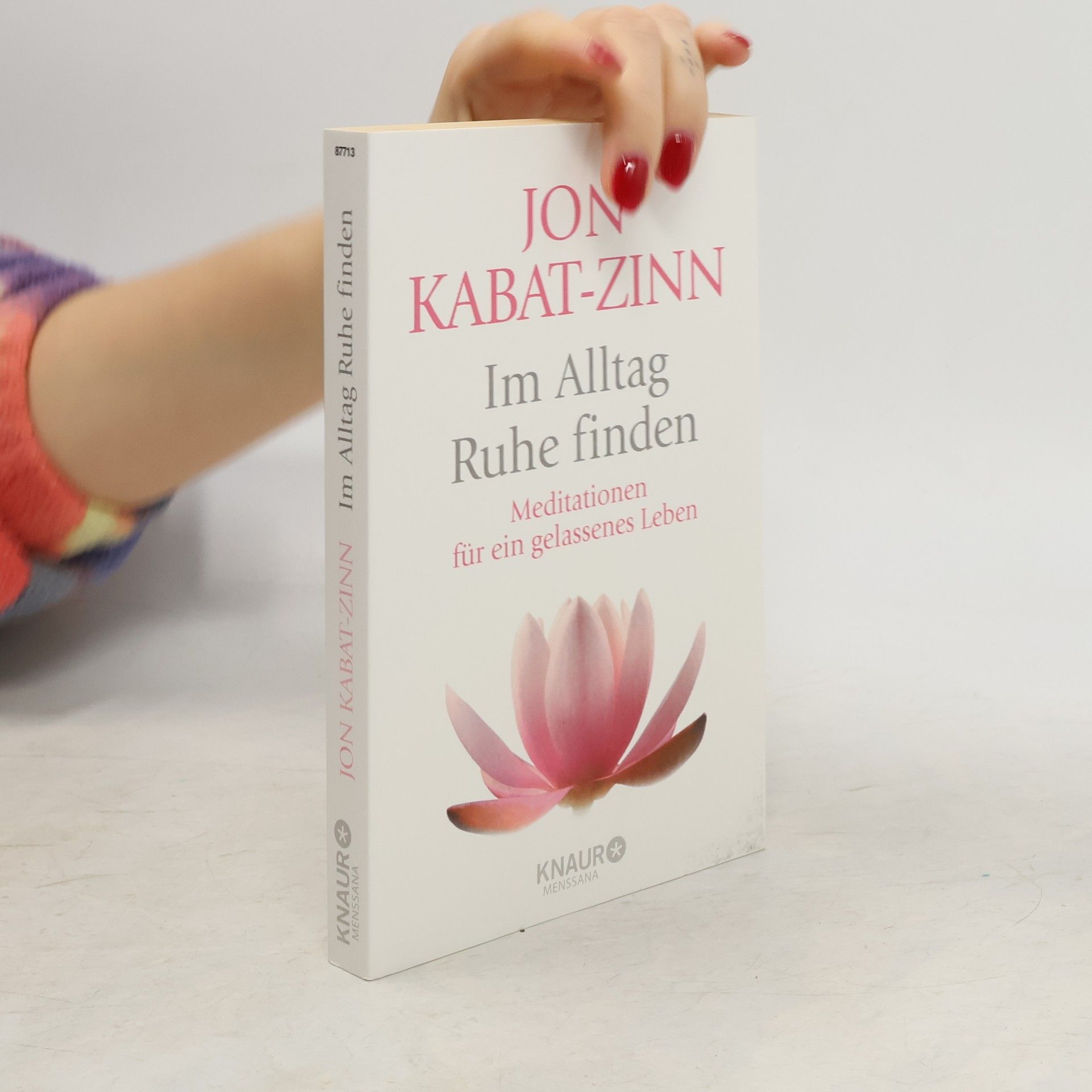 Jon Kabat-Zinn Im Alltag Ruhe finden